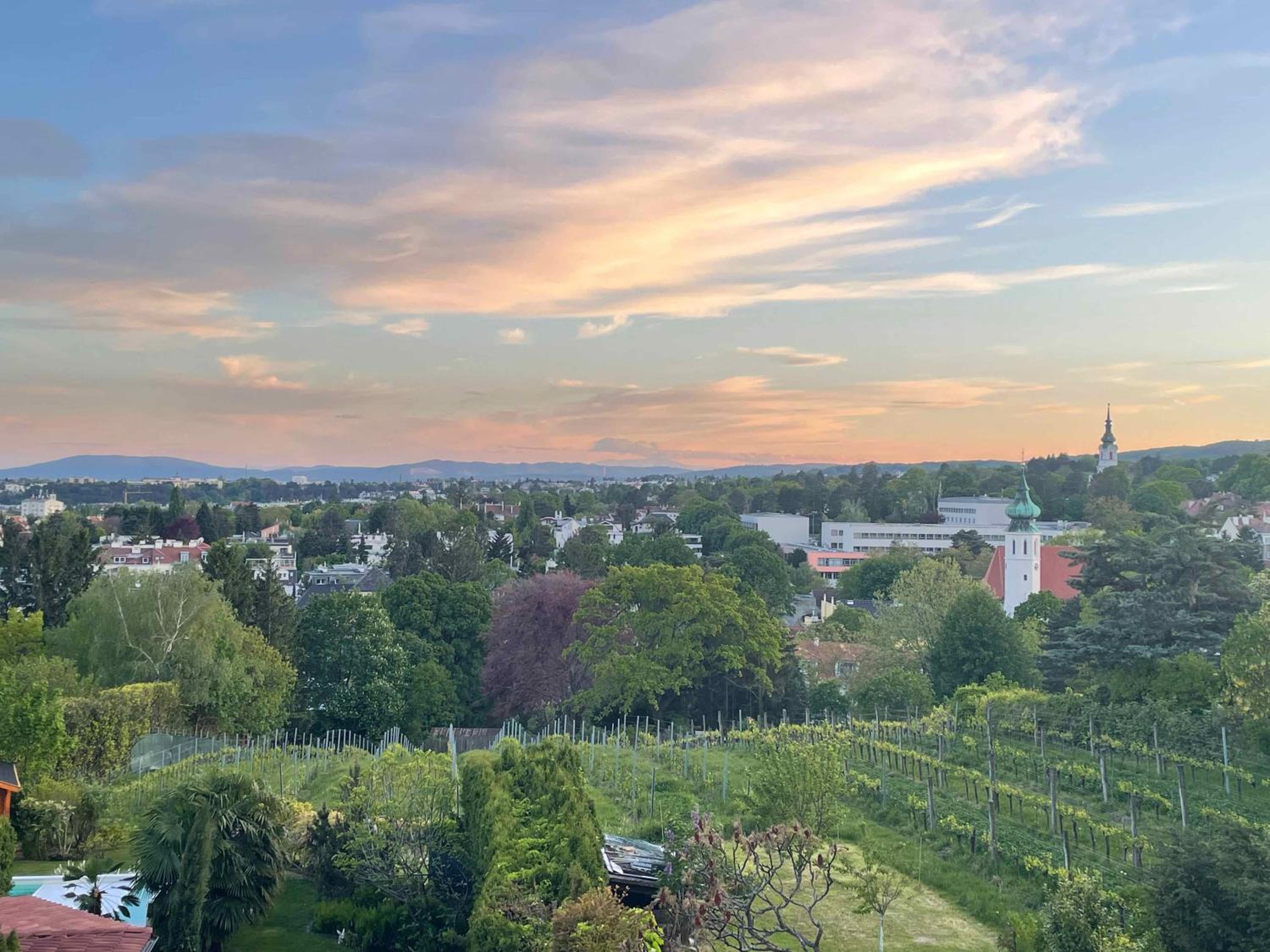 Herrlicher Ausblick über Wien