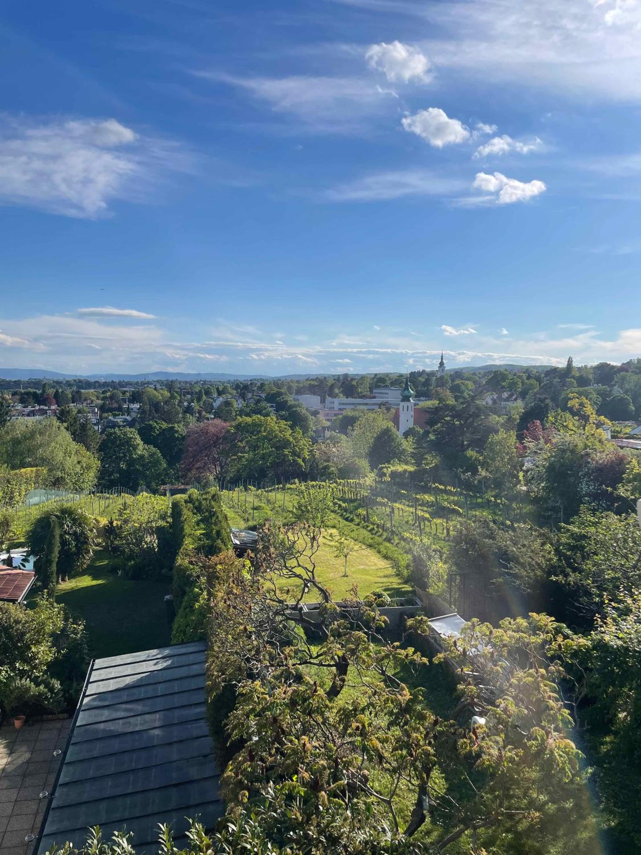 Herrlicher Ausblick über Wien