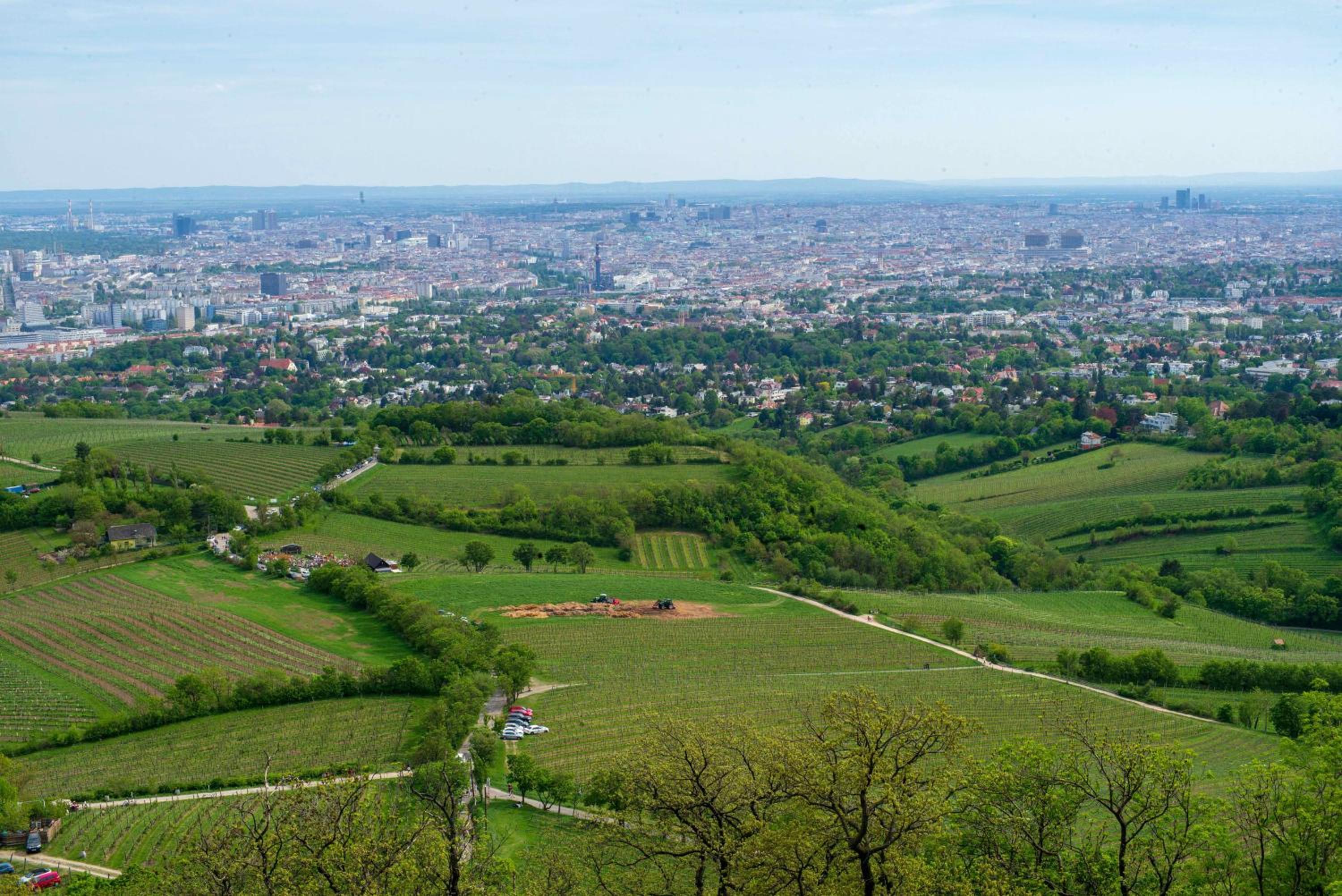 Herrlicher Ausblick über Wien