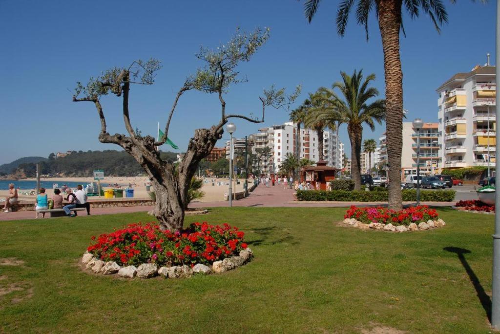 Antillas Fenals Apartment in Lloret de Mar