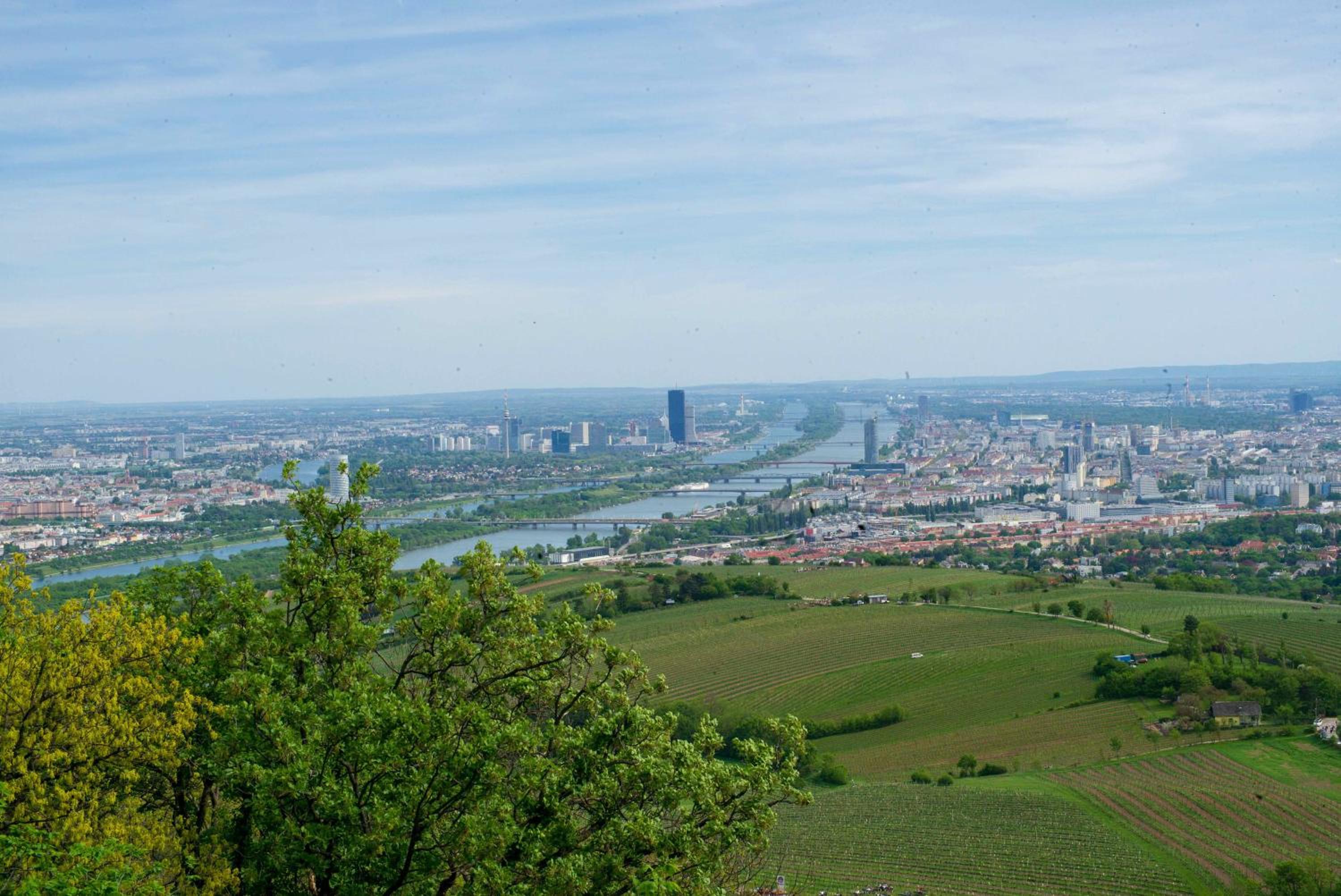 Herrlicher Ausblick über Wien