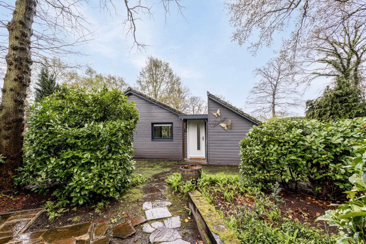 Vakantiewoning De Vlinder, Bakkeveen view 2