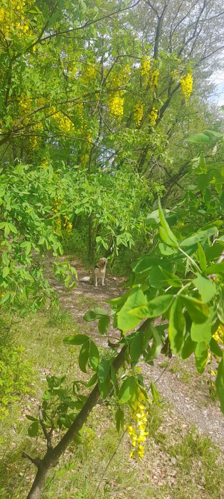 Photo 49