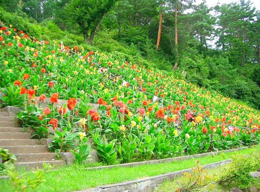 Nozawa Grand Hotel