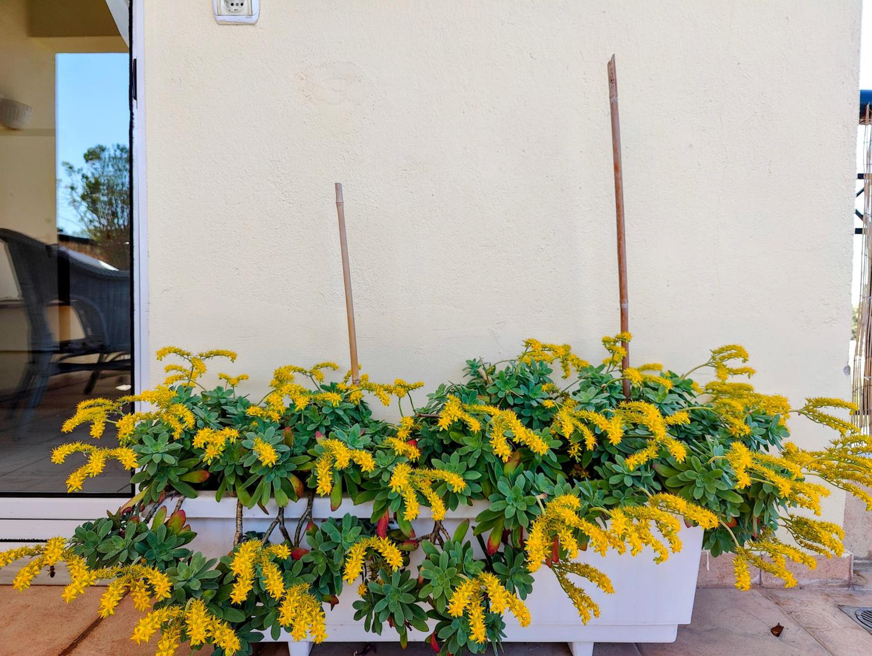 CELESTIAL GARDEN-Thessaloniki's modern, eclectic penthouse-Ideal for remote work and longer stays view 3