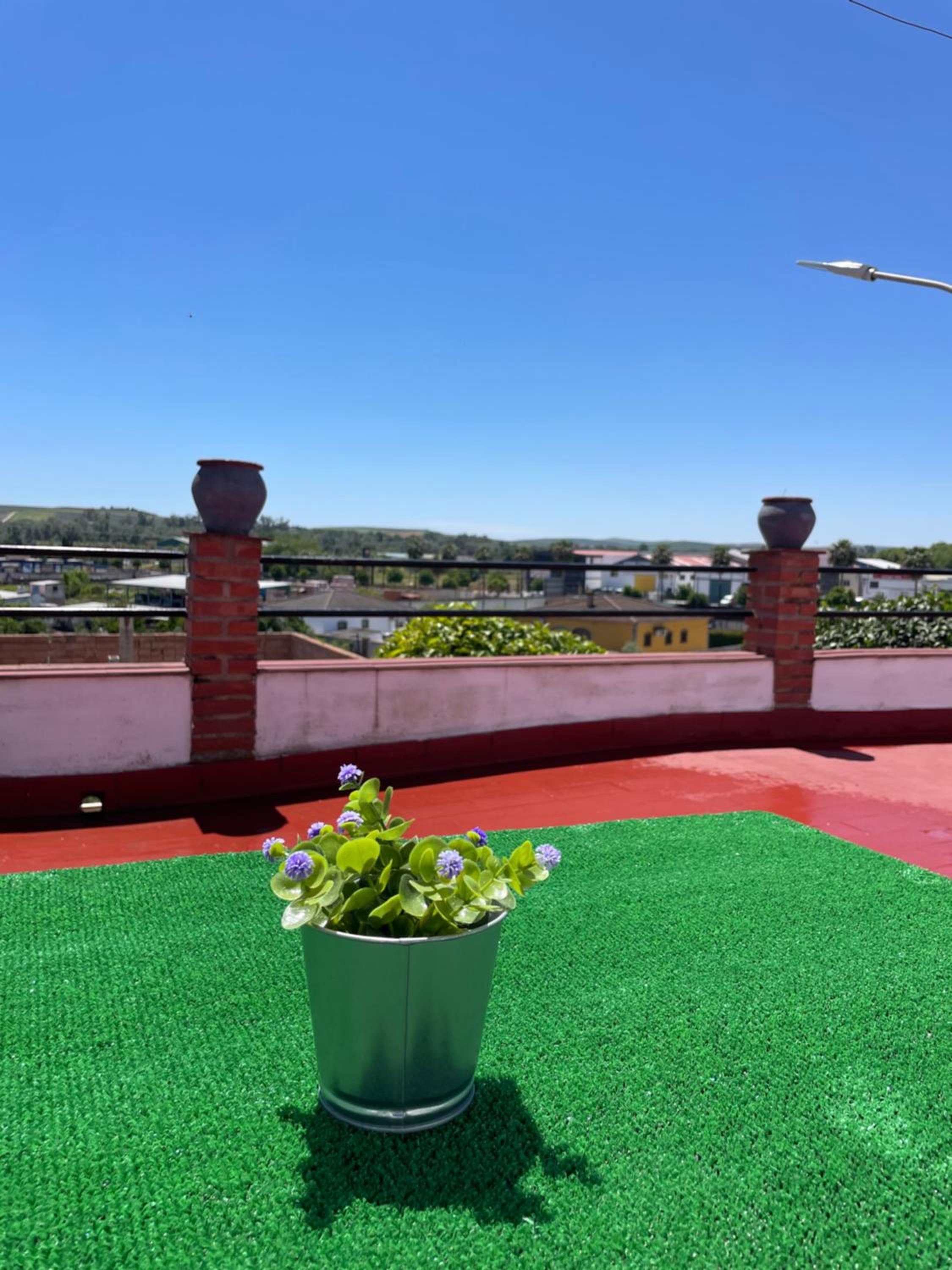 roof