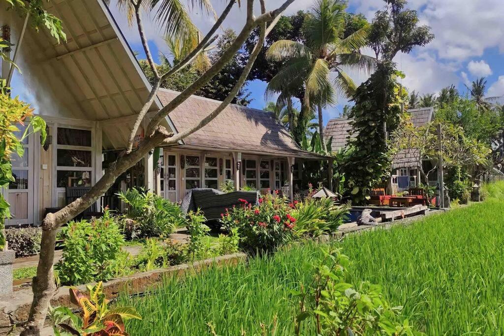 5BR Rustic Villa Private Pool in Ubud view 2