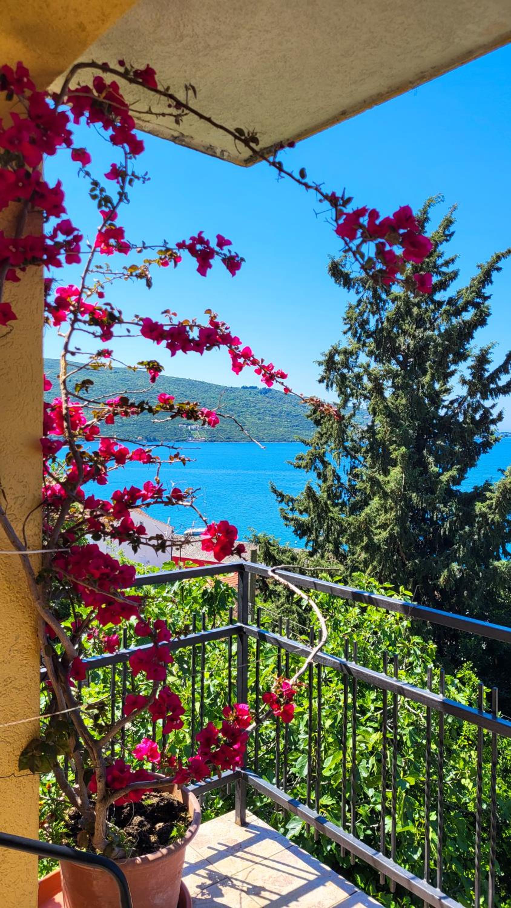 SeaView Zelenika