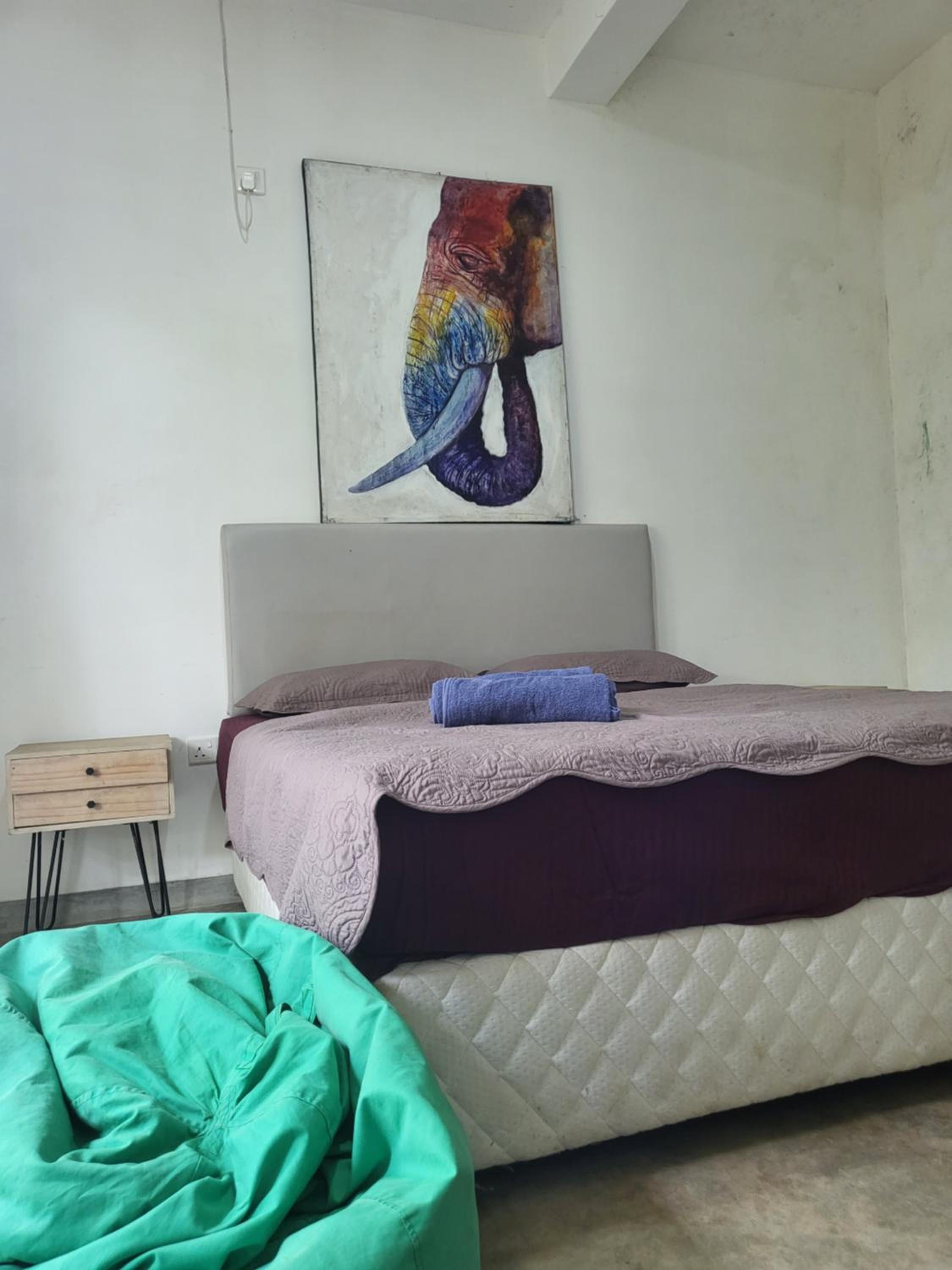 Hasthi homestay