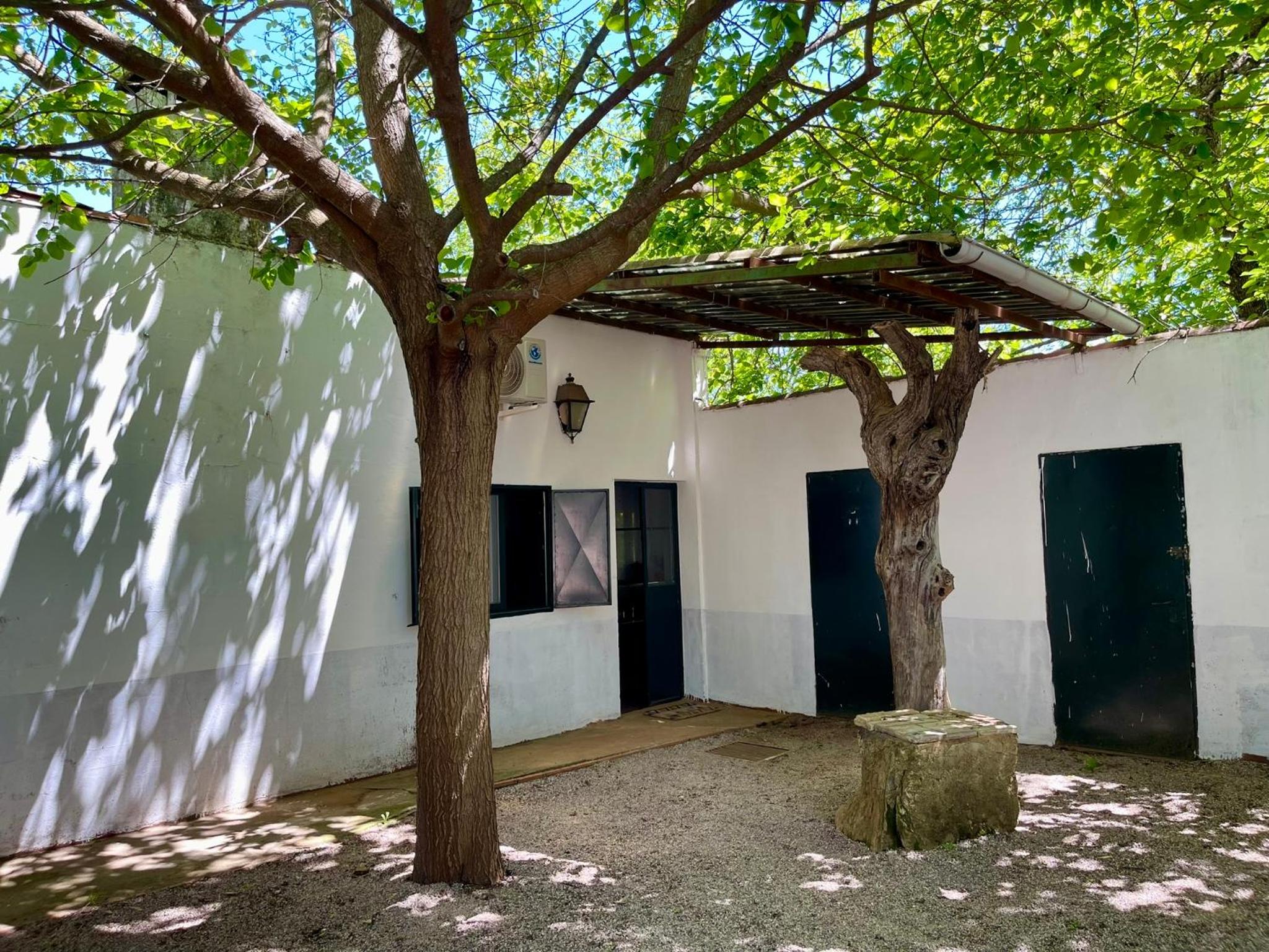 Camping El Madroñal