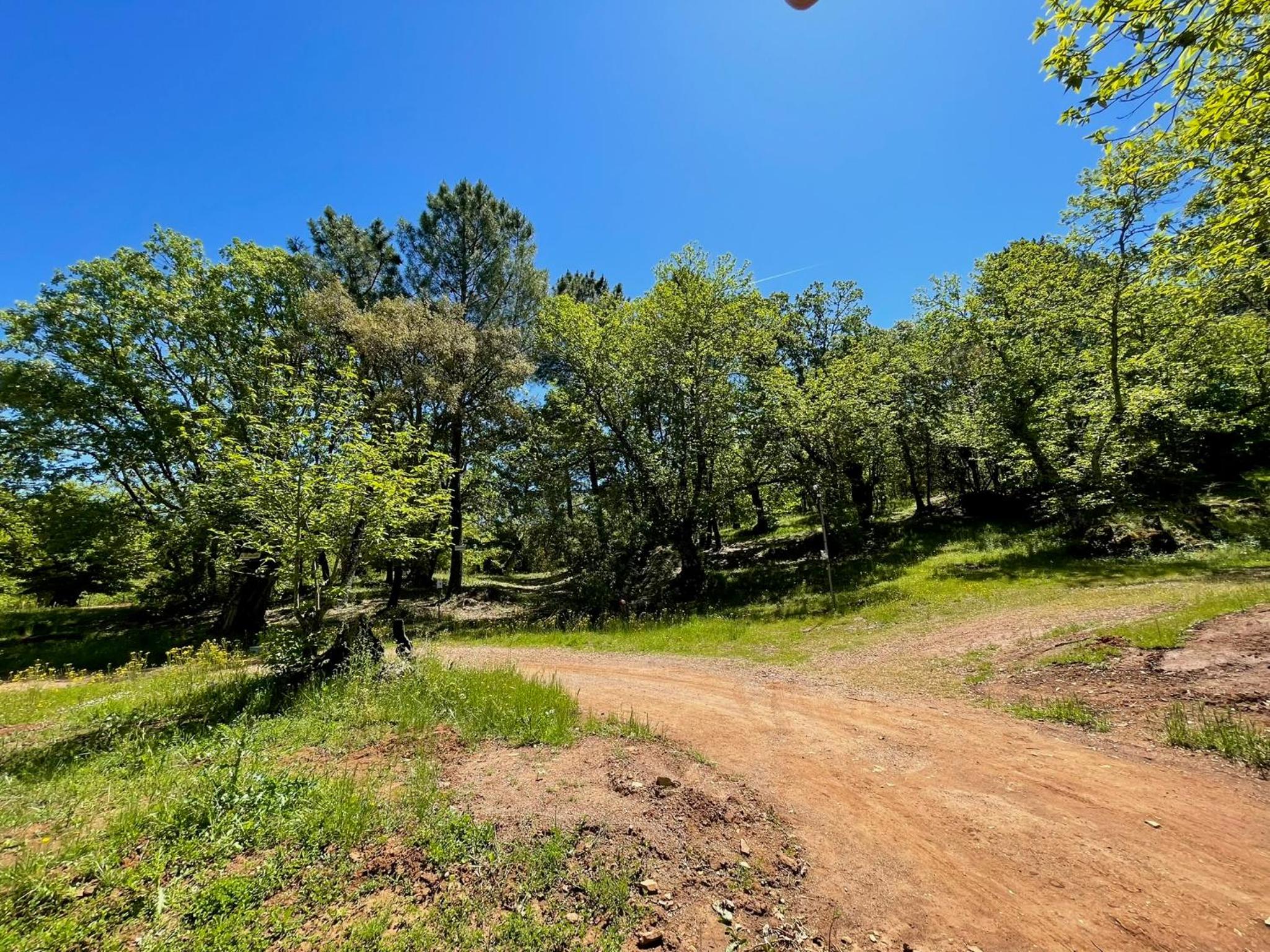 Camping El Madroñal