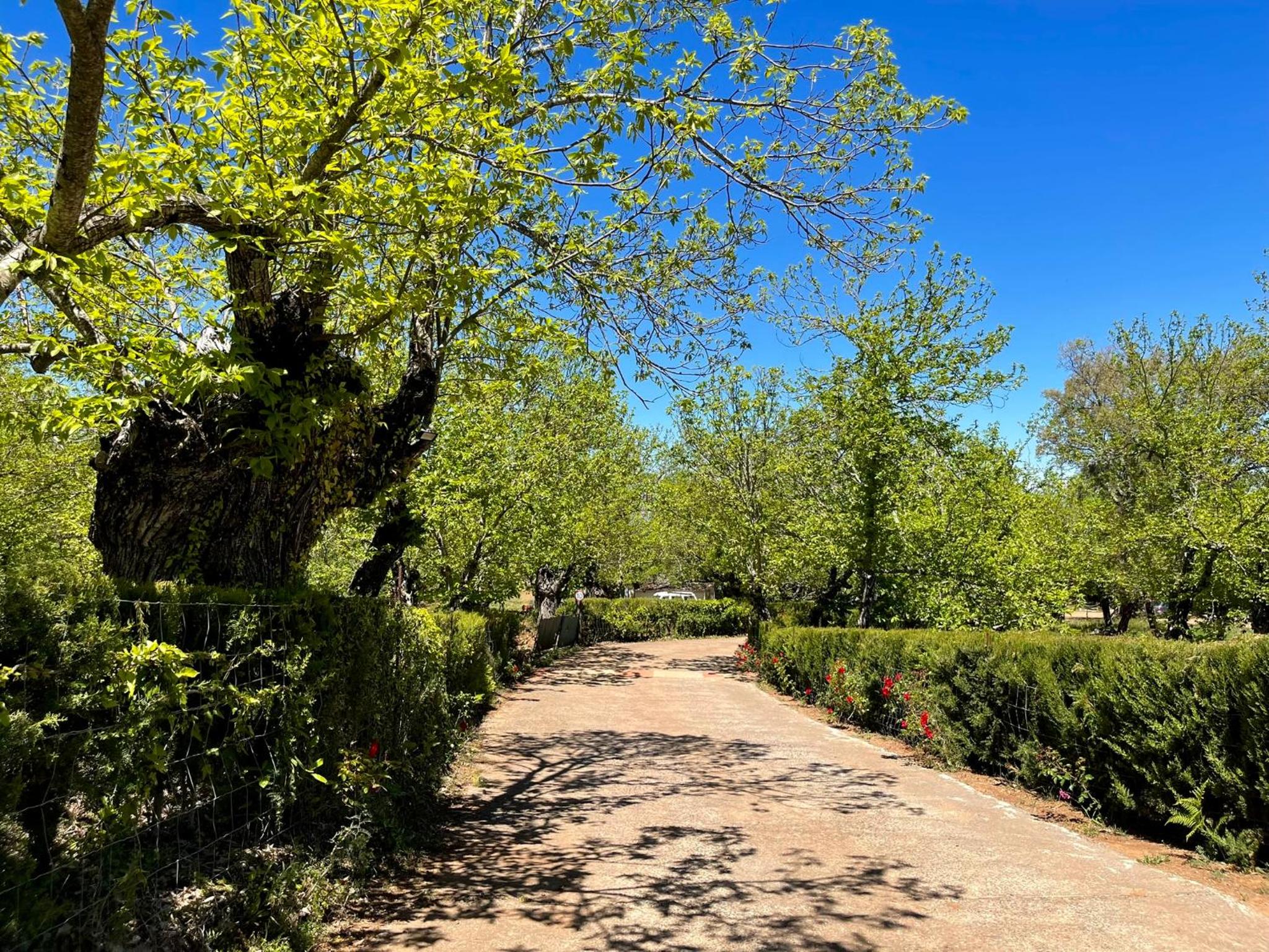 Camping El Madroñal