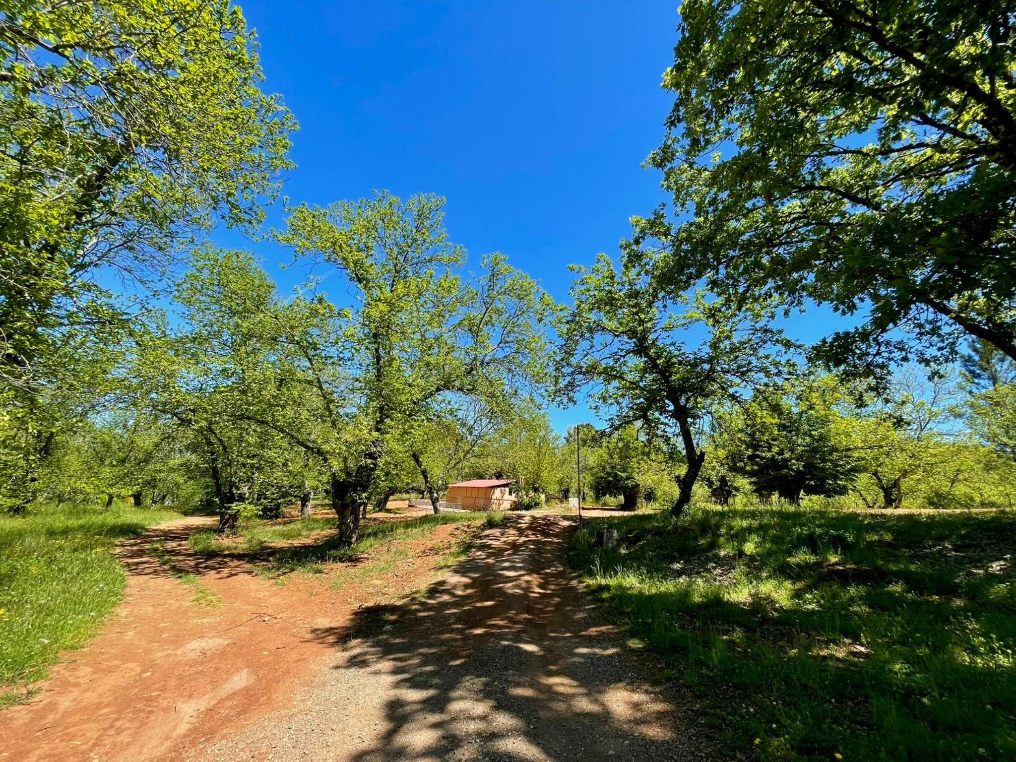 Camping El Madroñal