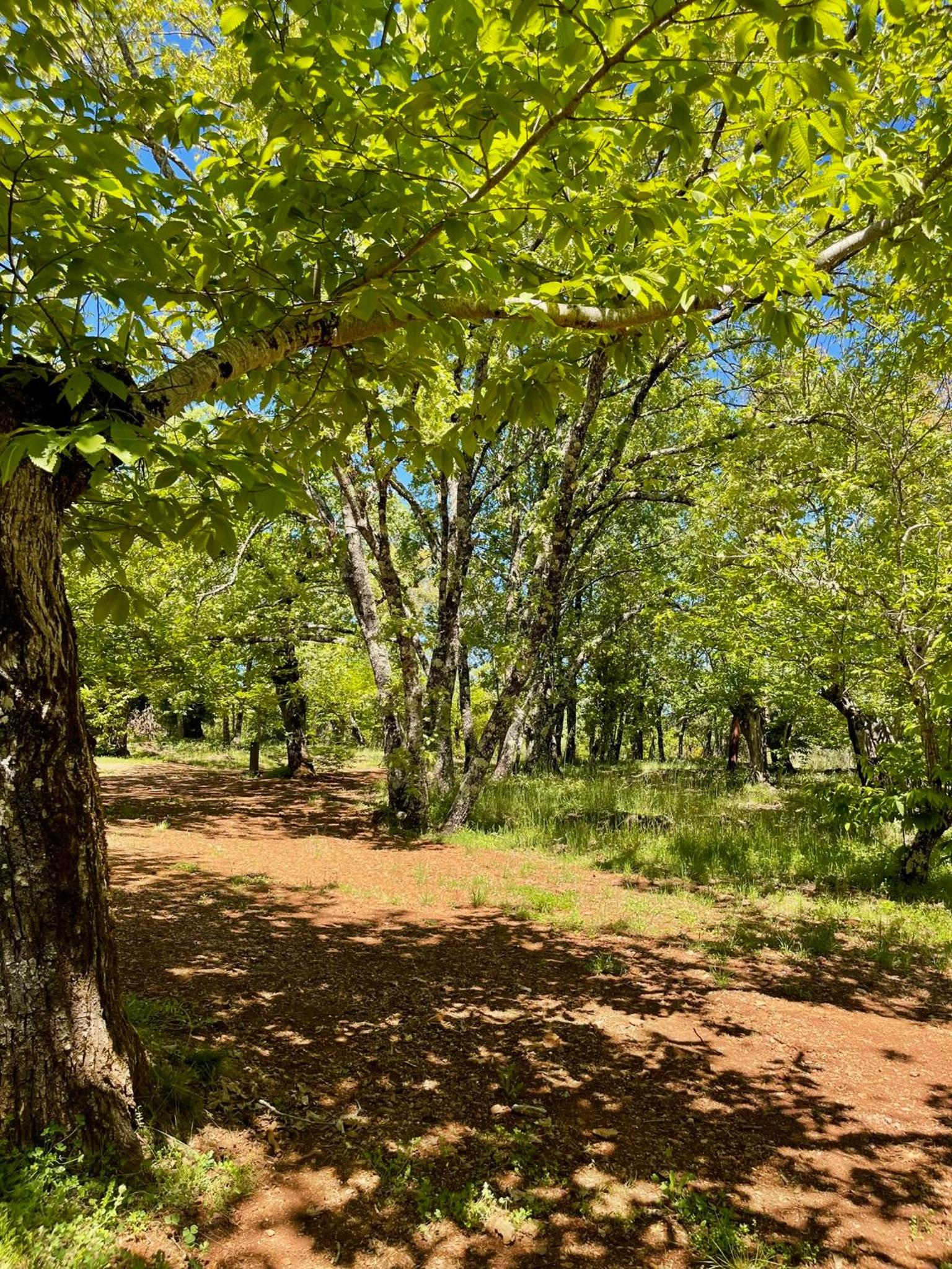 Camping El Madroñal