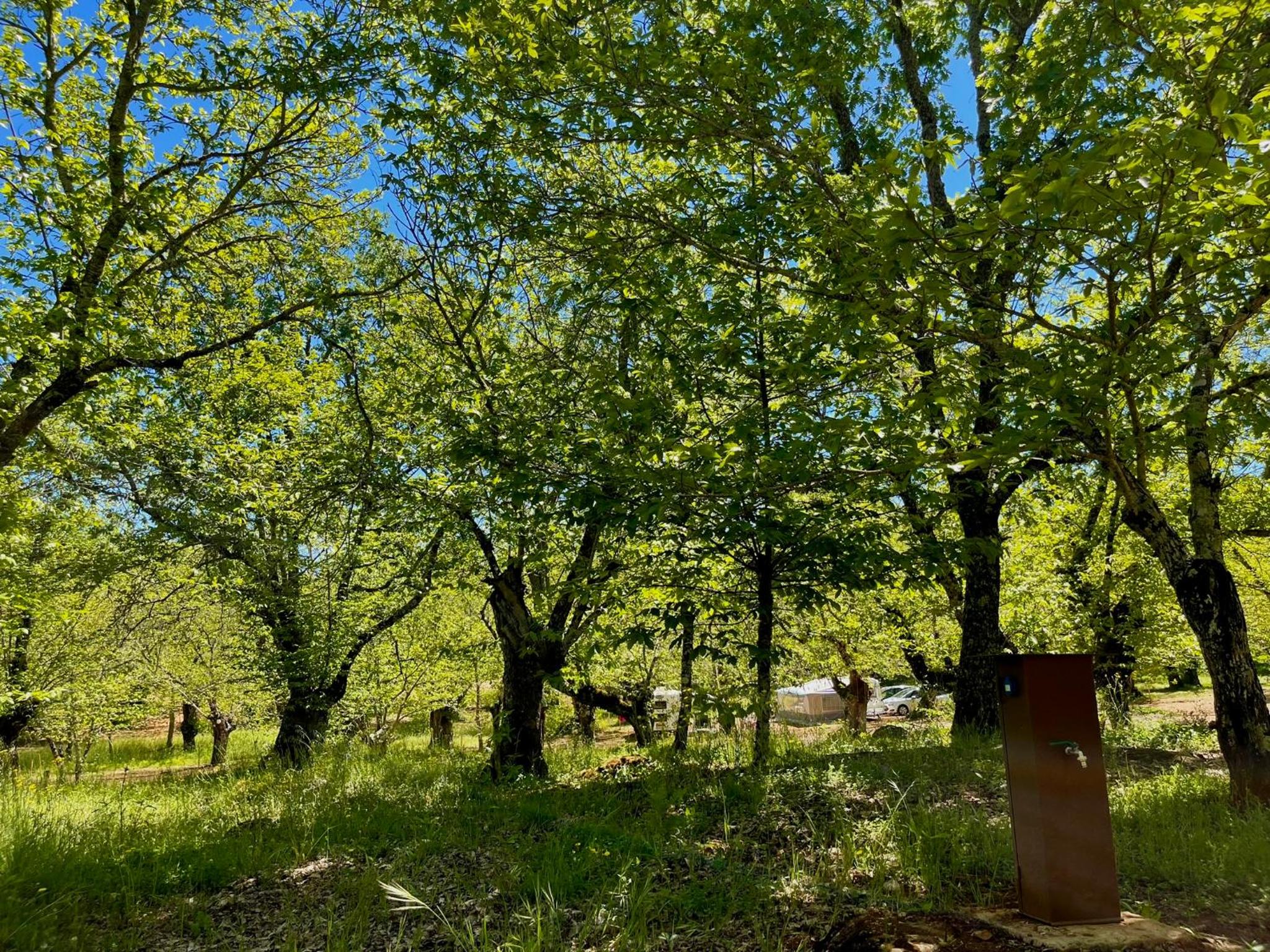 Camping El Madroñal