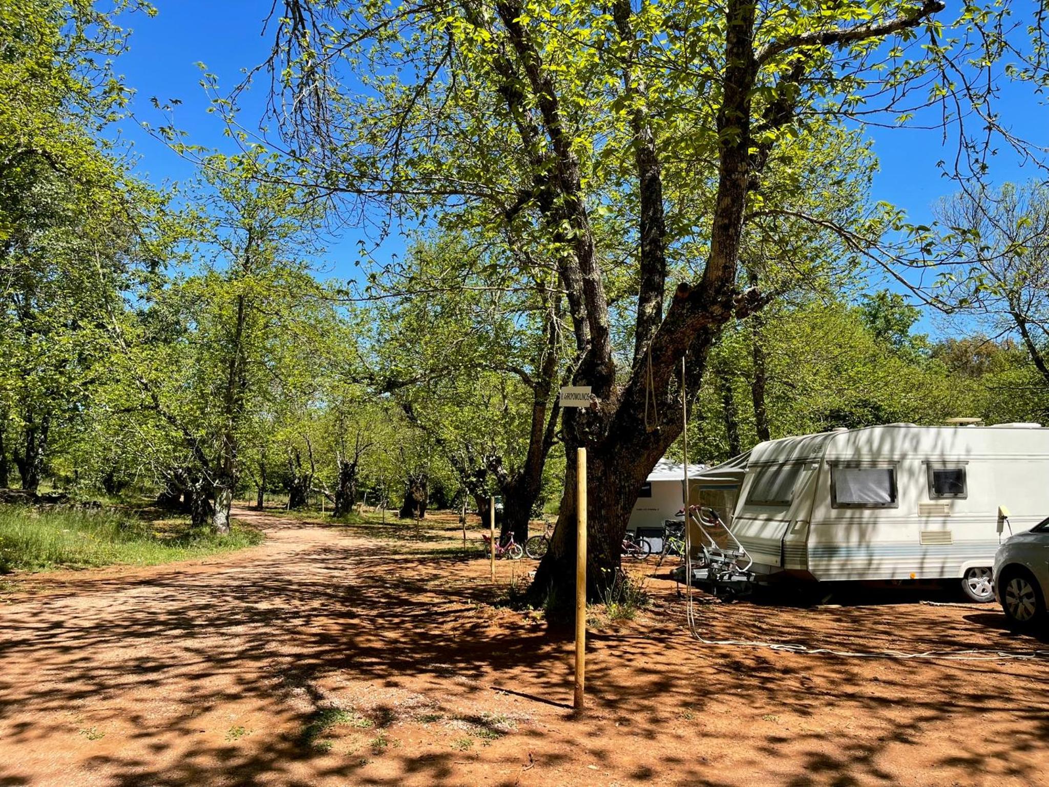 Camping El Madroñal