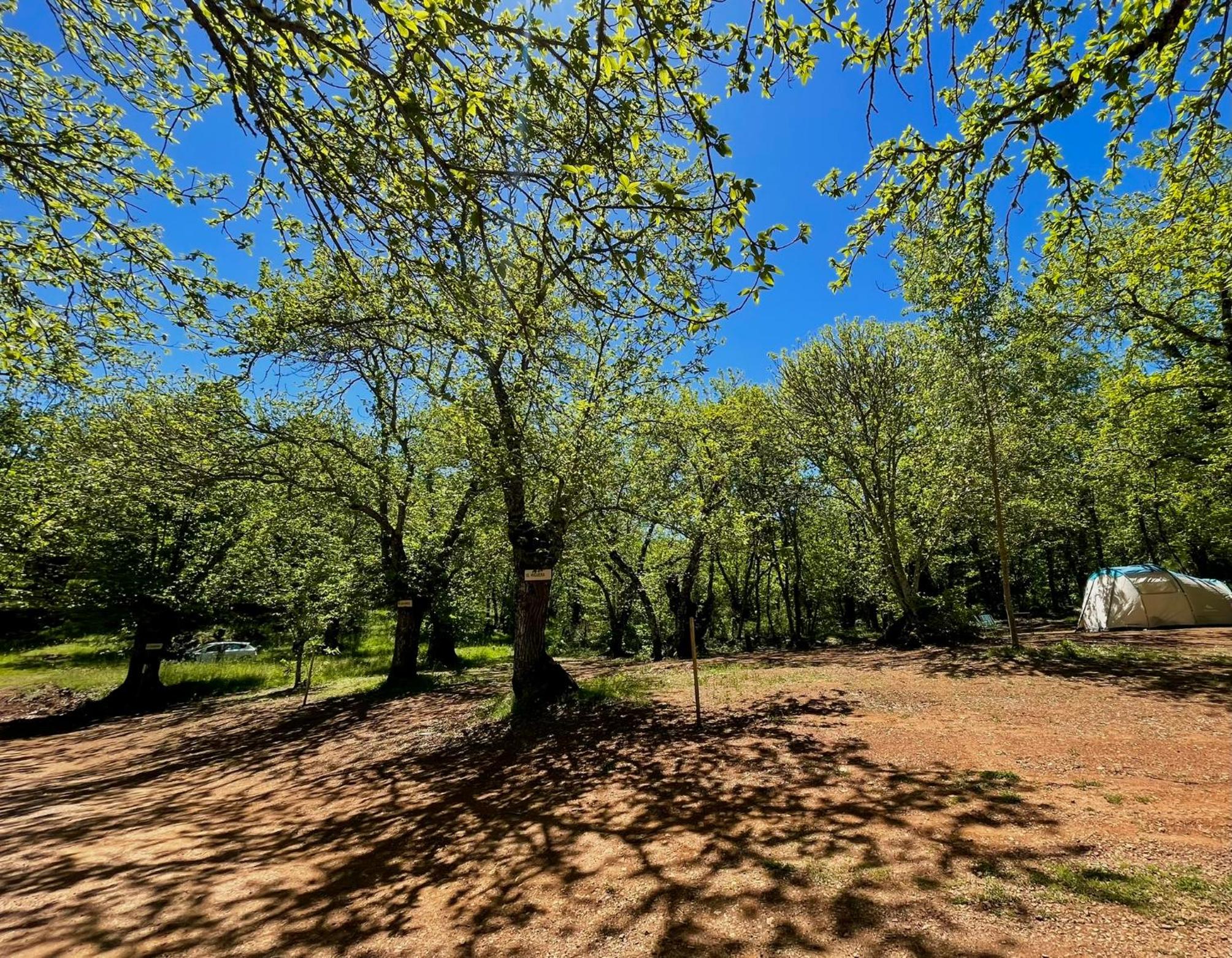 Camping El Madroñal