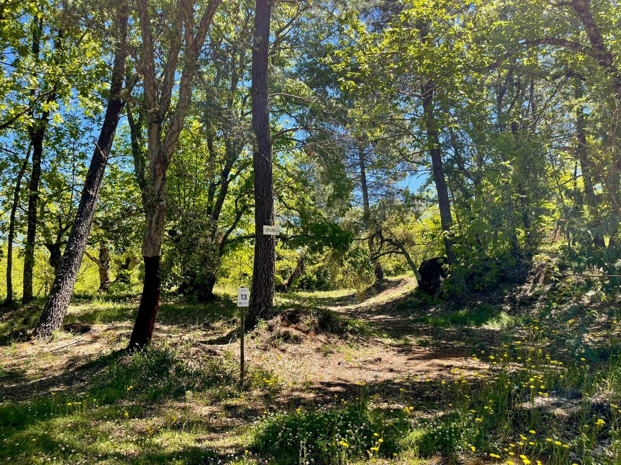 Camping El Madroñal