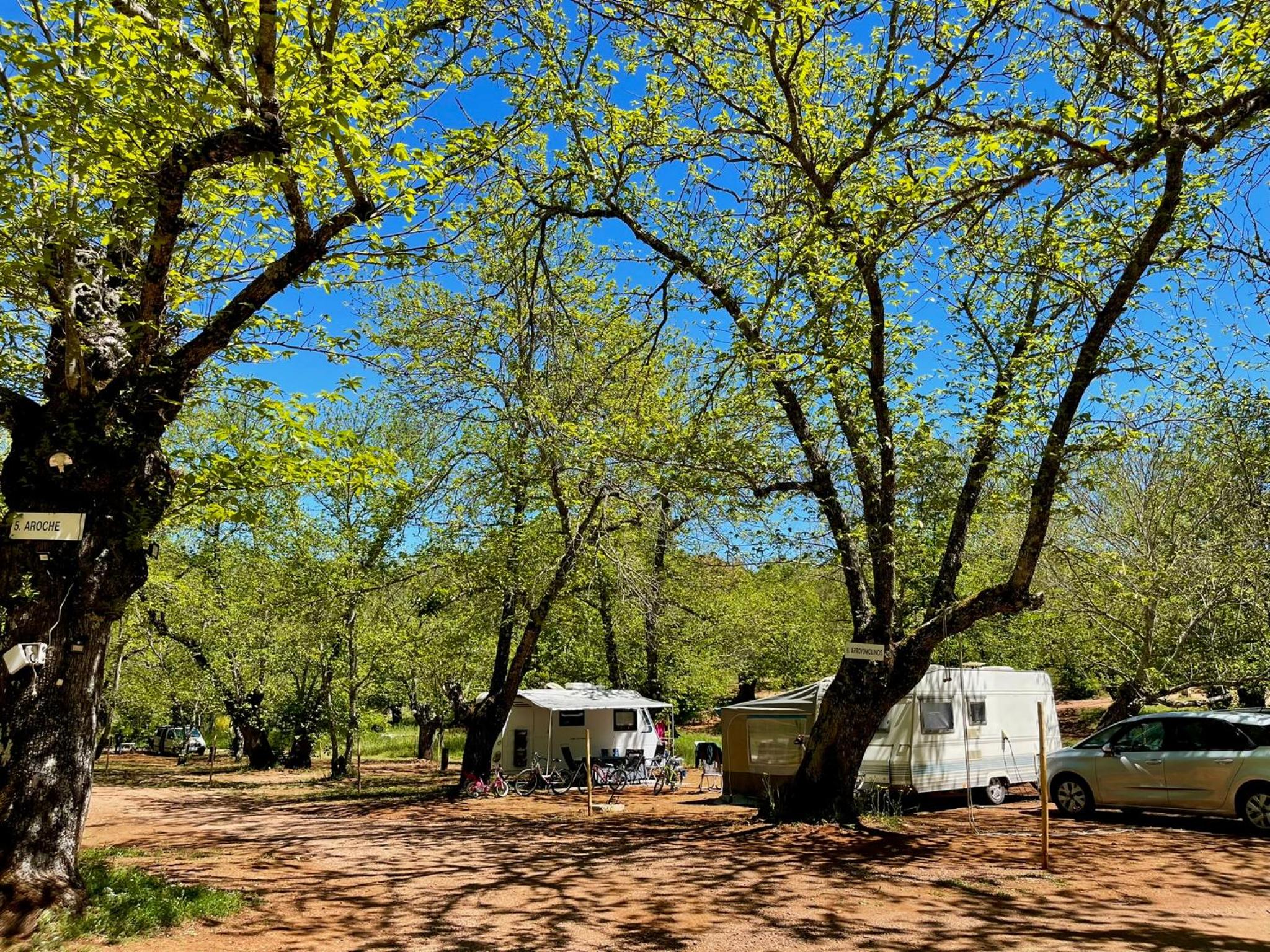 Camping El Madroñal