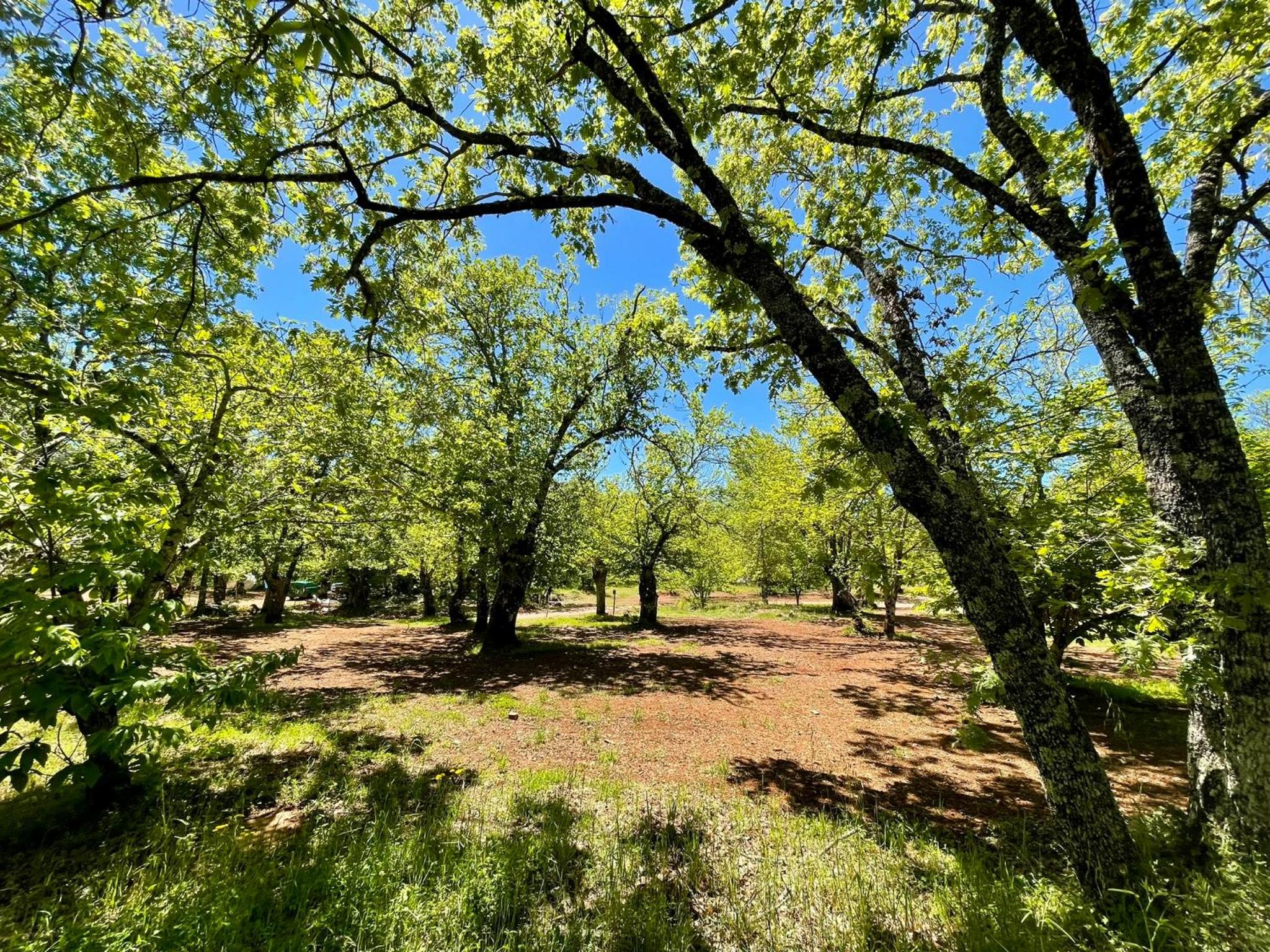 Camping El Madroñal