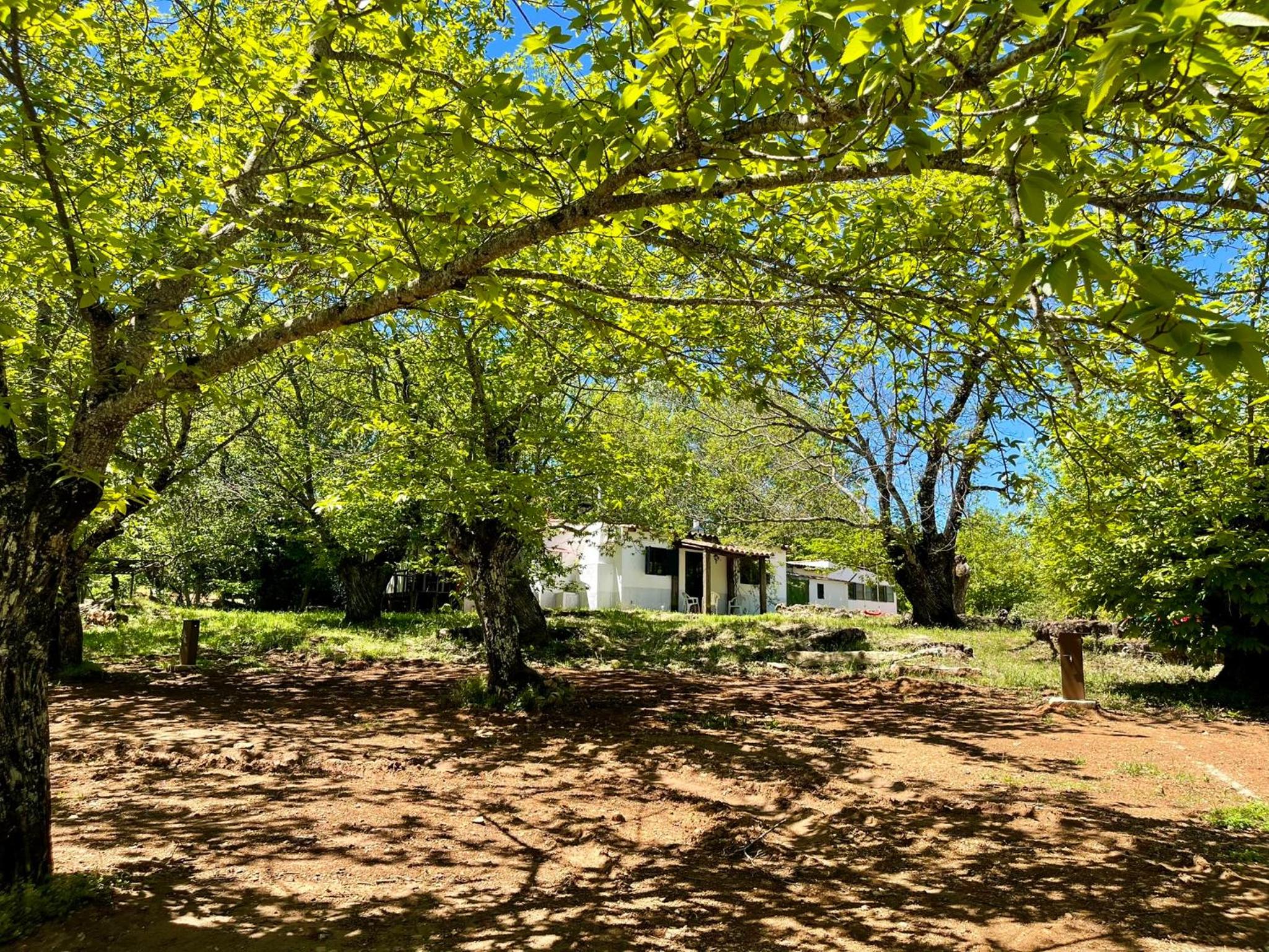 Camping El Madroñal