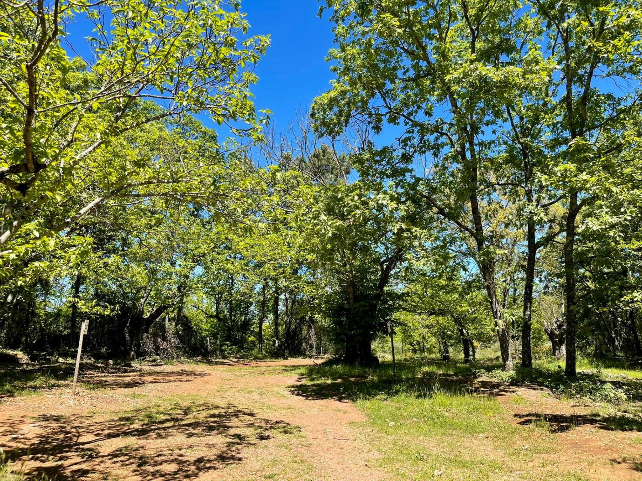 Camping El Madroñal