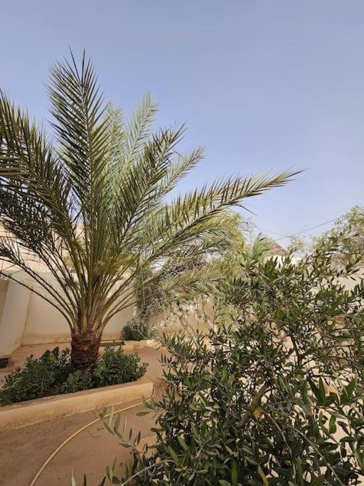 Hadhri Appartement view 2
