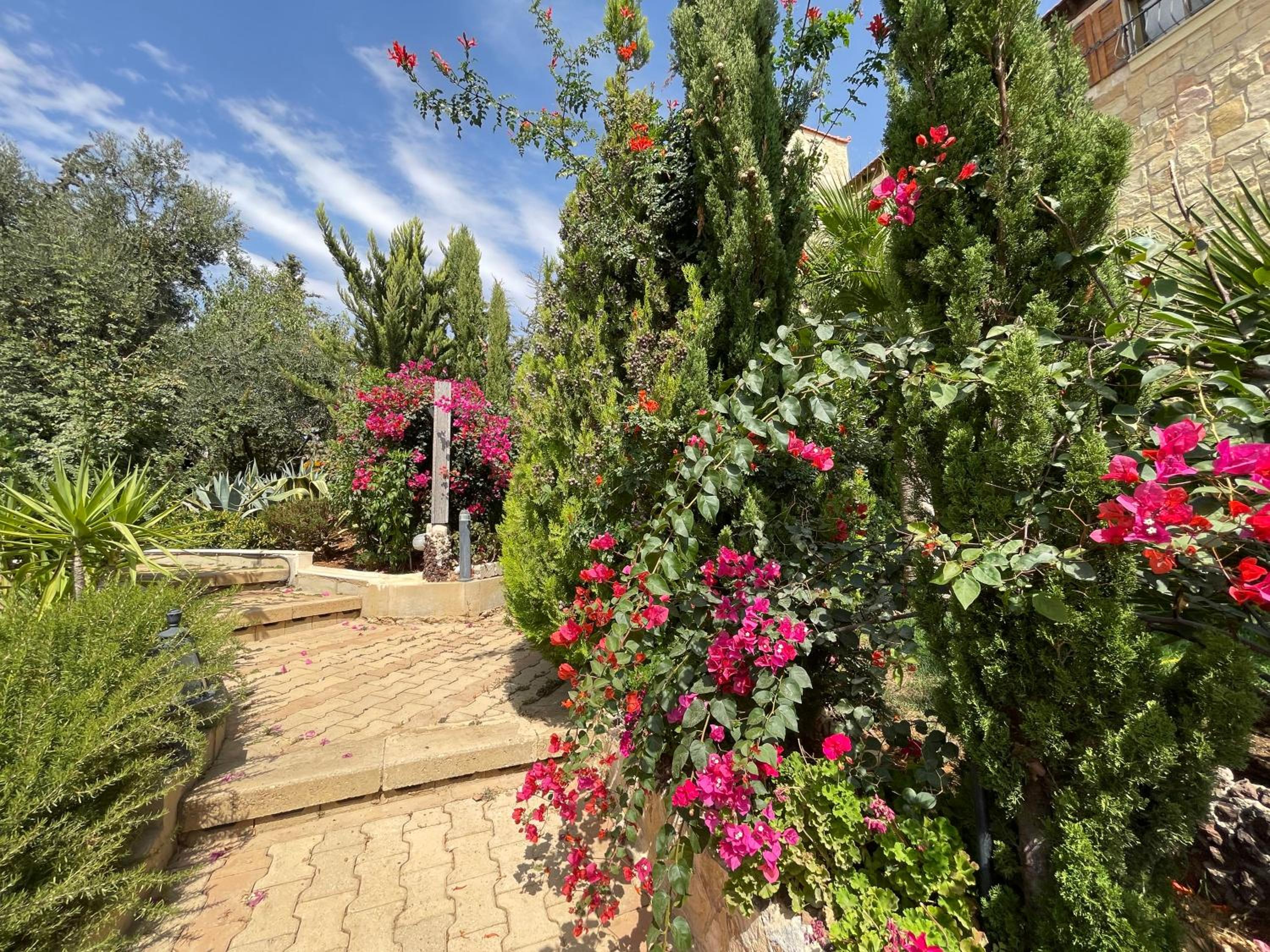 Horizon1 view 3