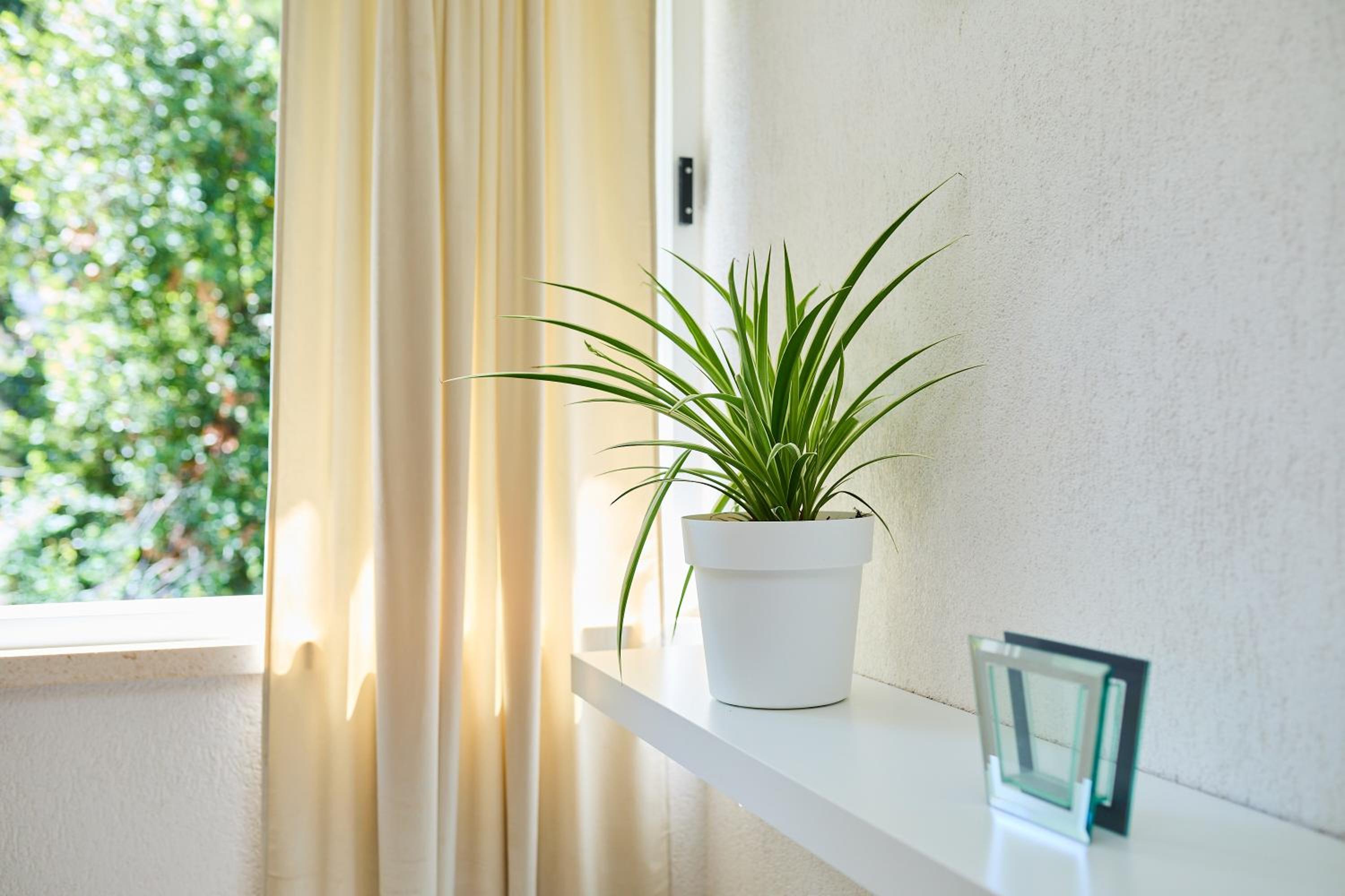 Apartment Promenada- 4pax with Parking