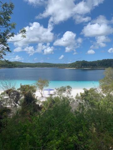 AVALON 5 STAR LUX 4 Bedroom home Kingfisher Bay Fraser Island 8 GUEST
