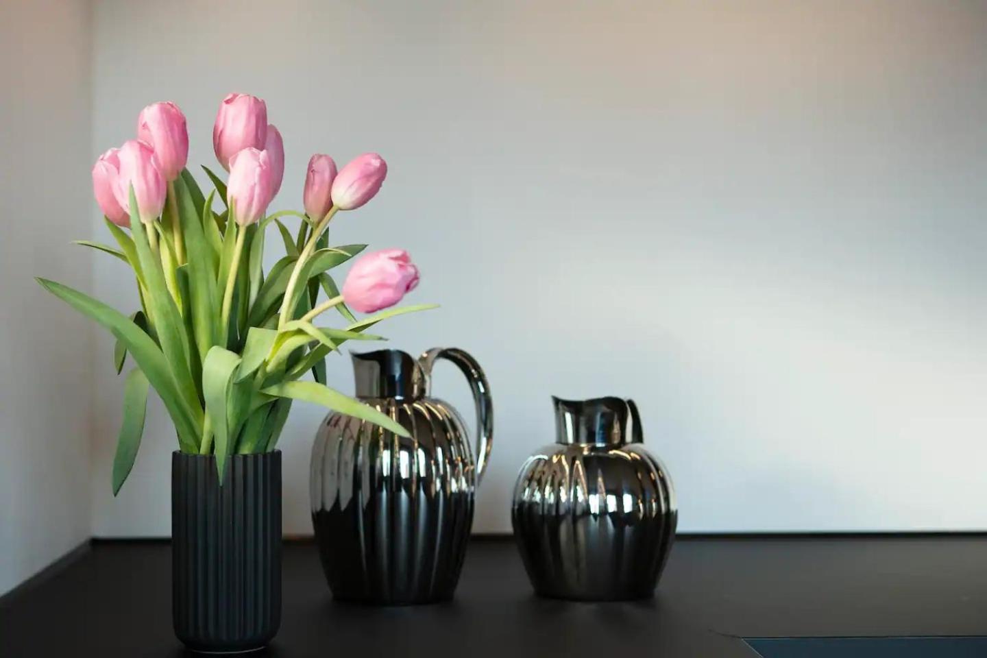 CONRADSBREKKA Luxury Apartment in Central Tórshavn