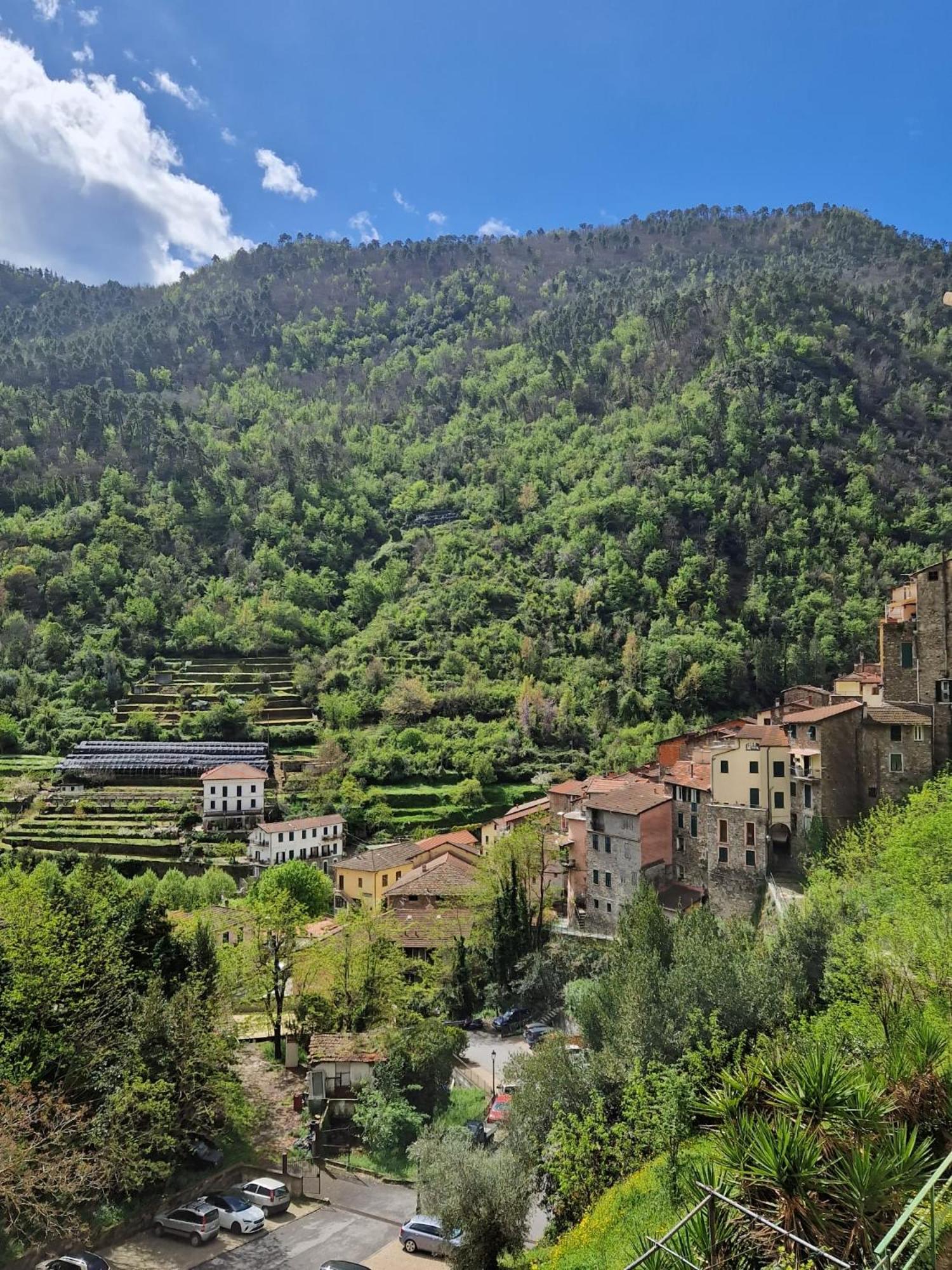 Casa Verde