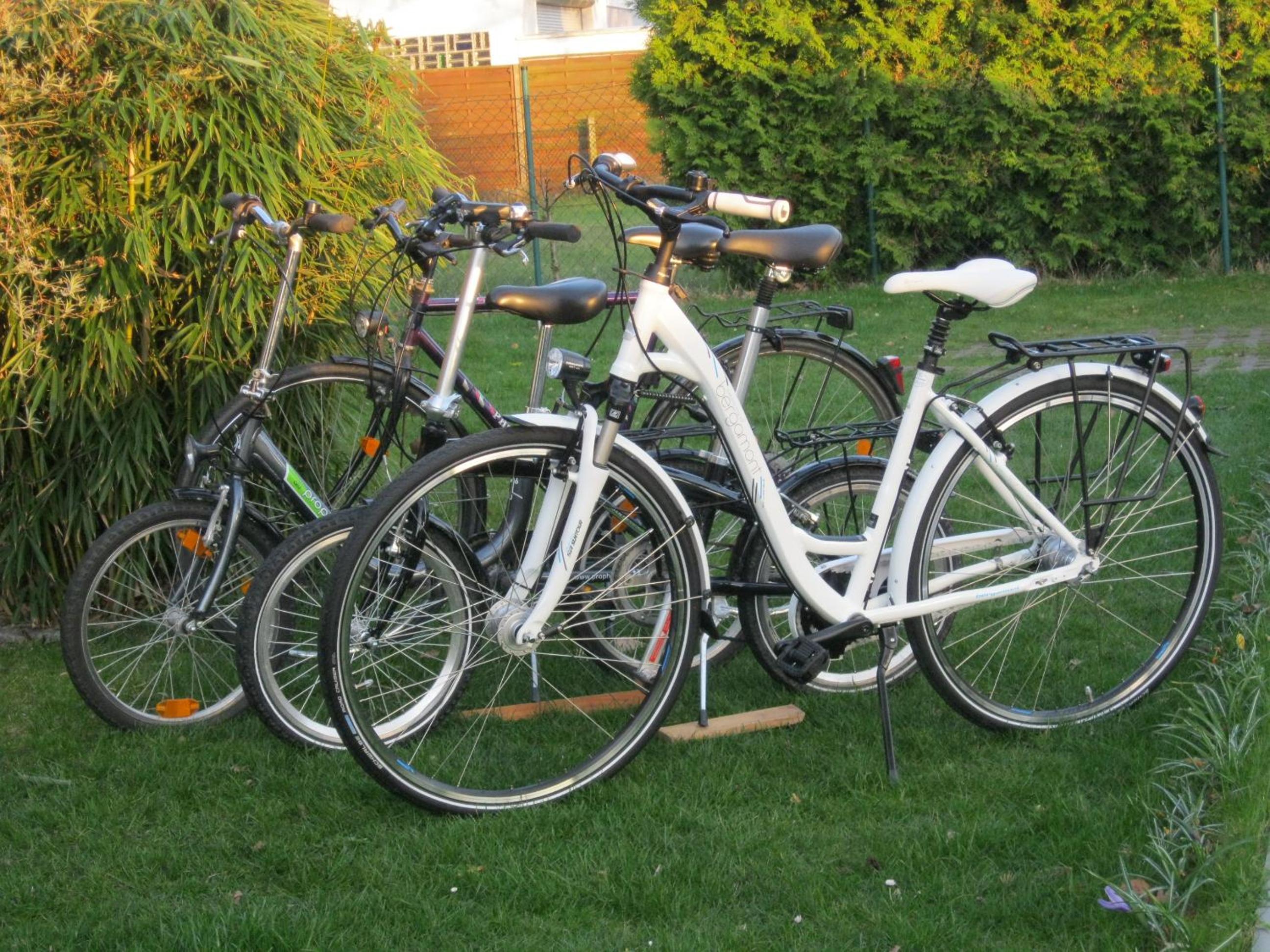 Ostseeoase Ferienhaus Schenk