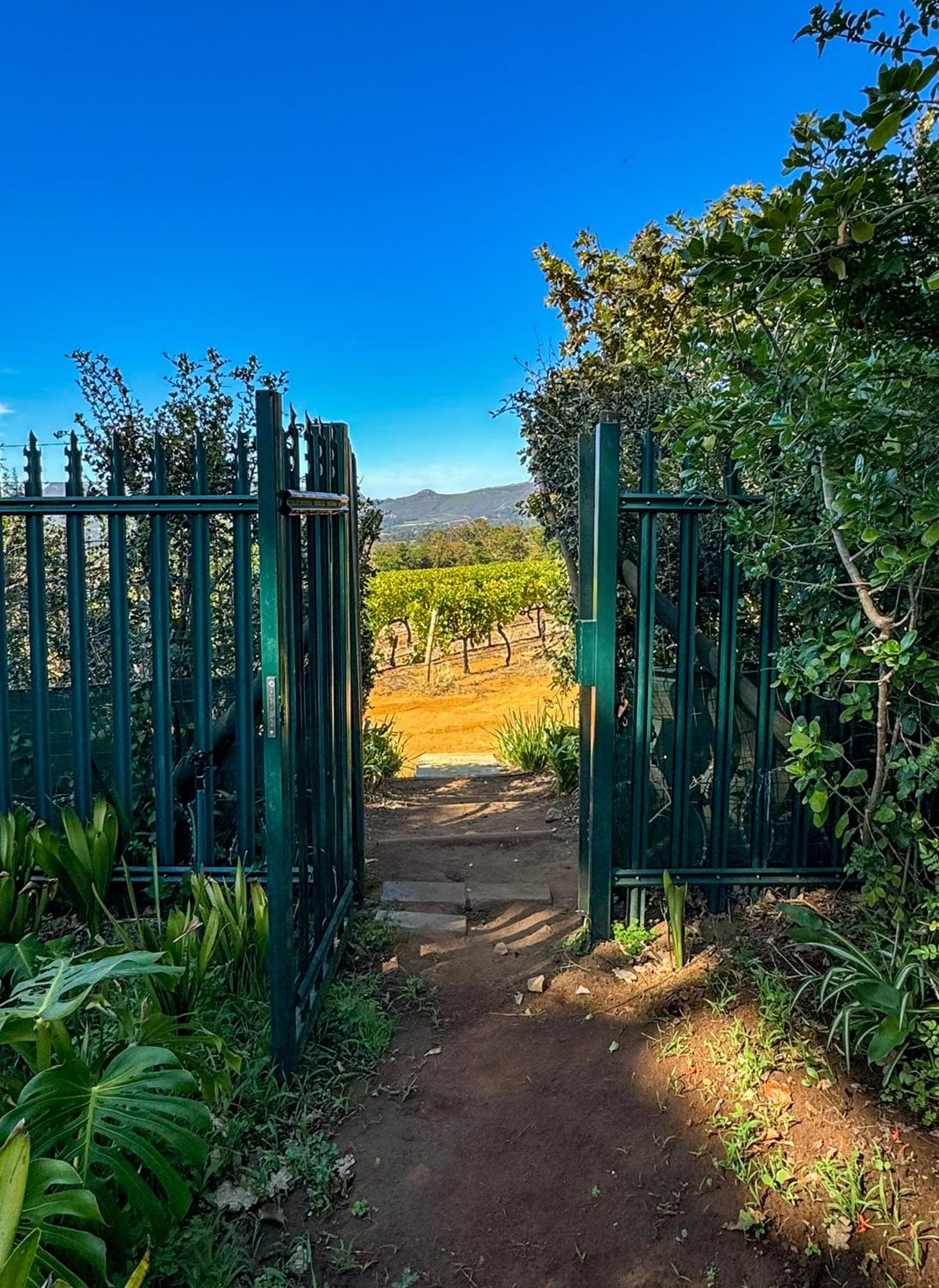 Cute one bedroom garden cottage - Wonderful views, Vineyard access, tranquil garden