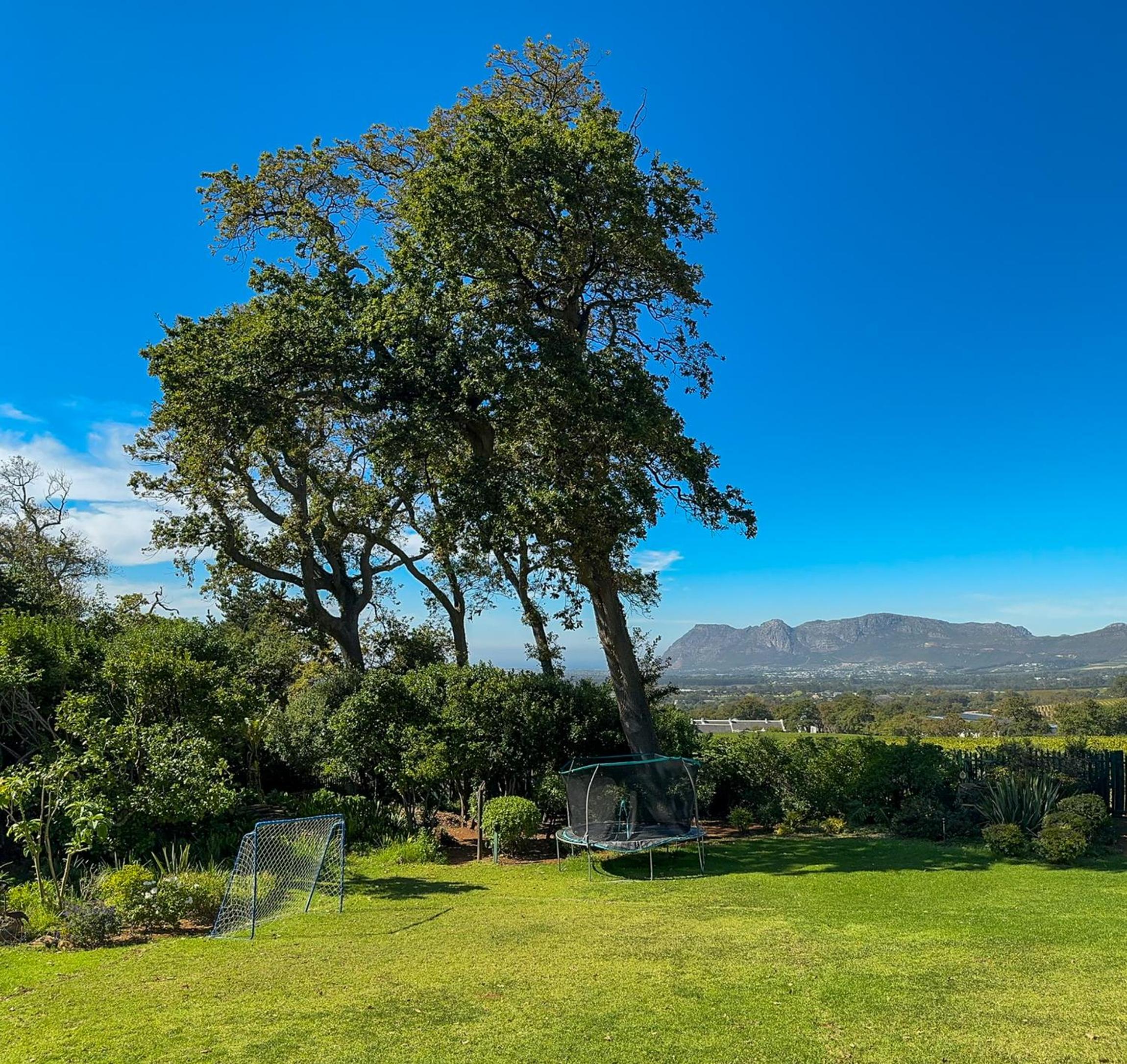 Cute one bedroom garden cottage - Wonderful views, Vineyard access, tranquil garden