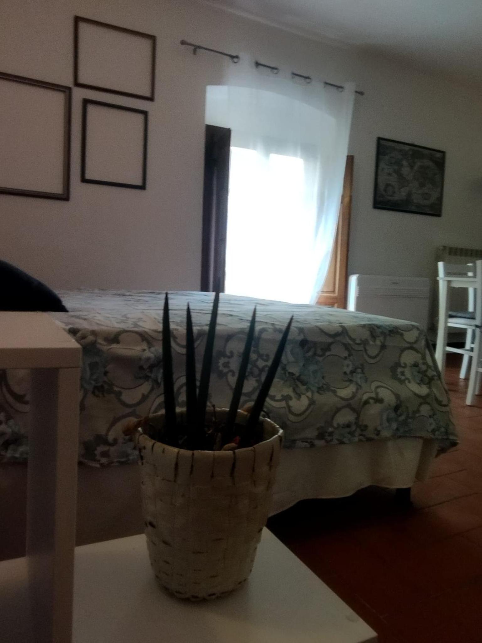 villa badia a ruoti La Casina di Tina