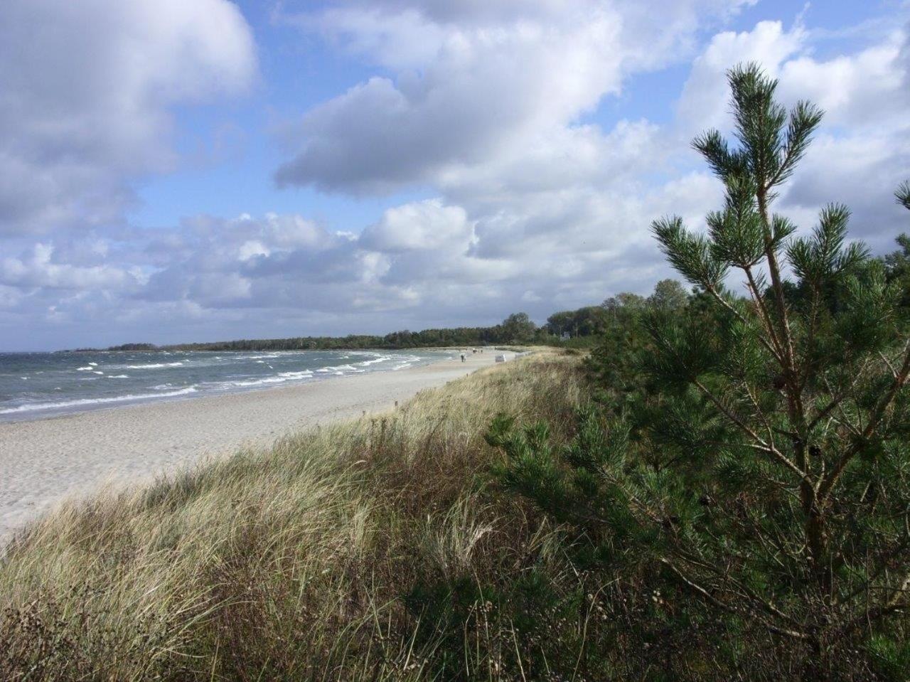 Vier-Winde-Villa mit Schwimmbad