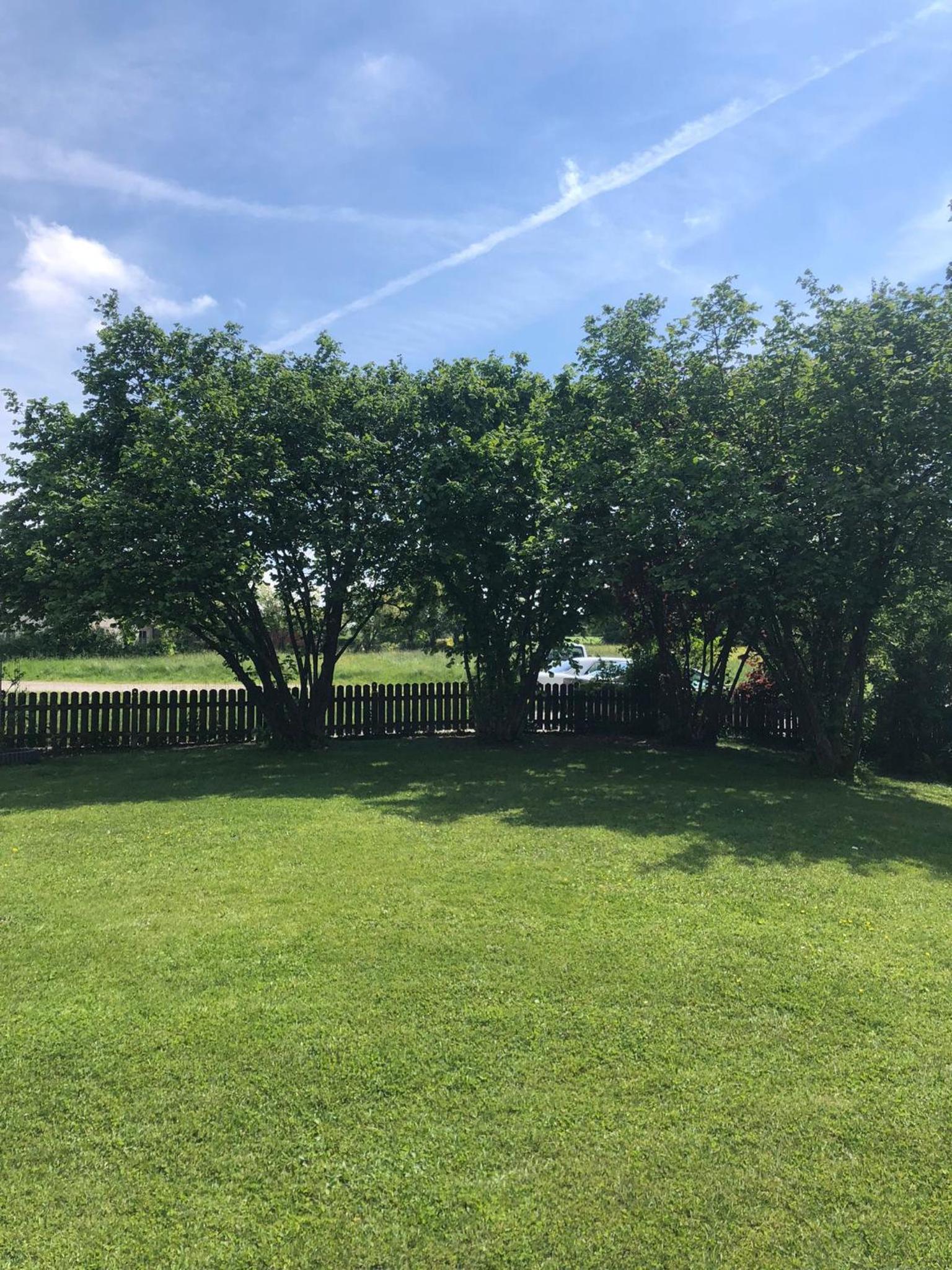 Gemütliche Blockhütte mit großem Garten
