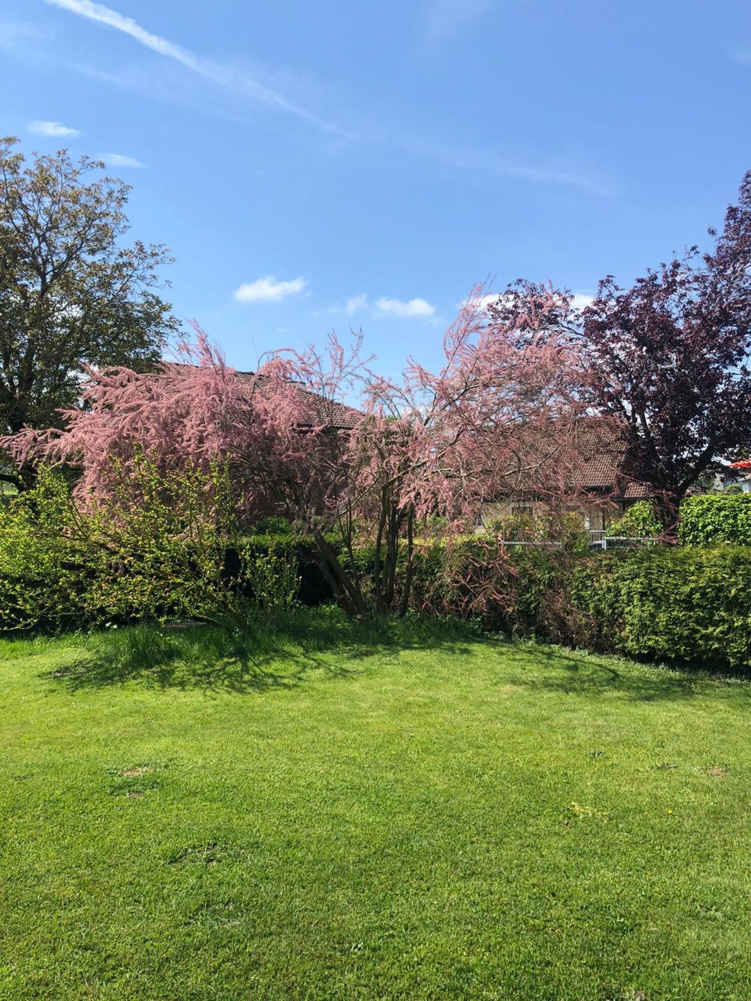 Gemütliche Blockhütte mit großem Garten