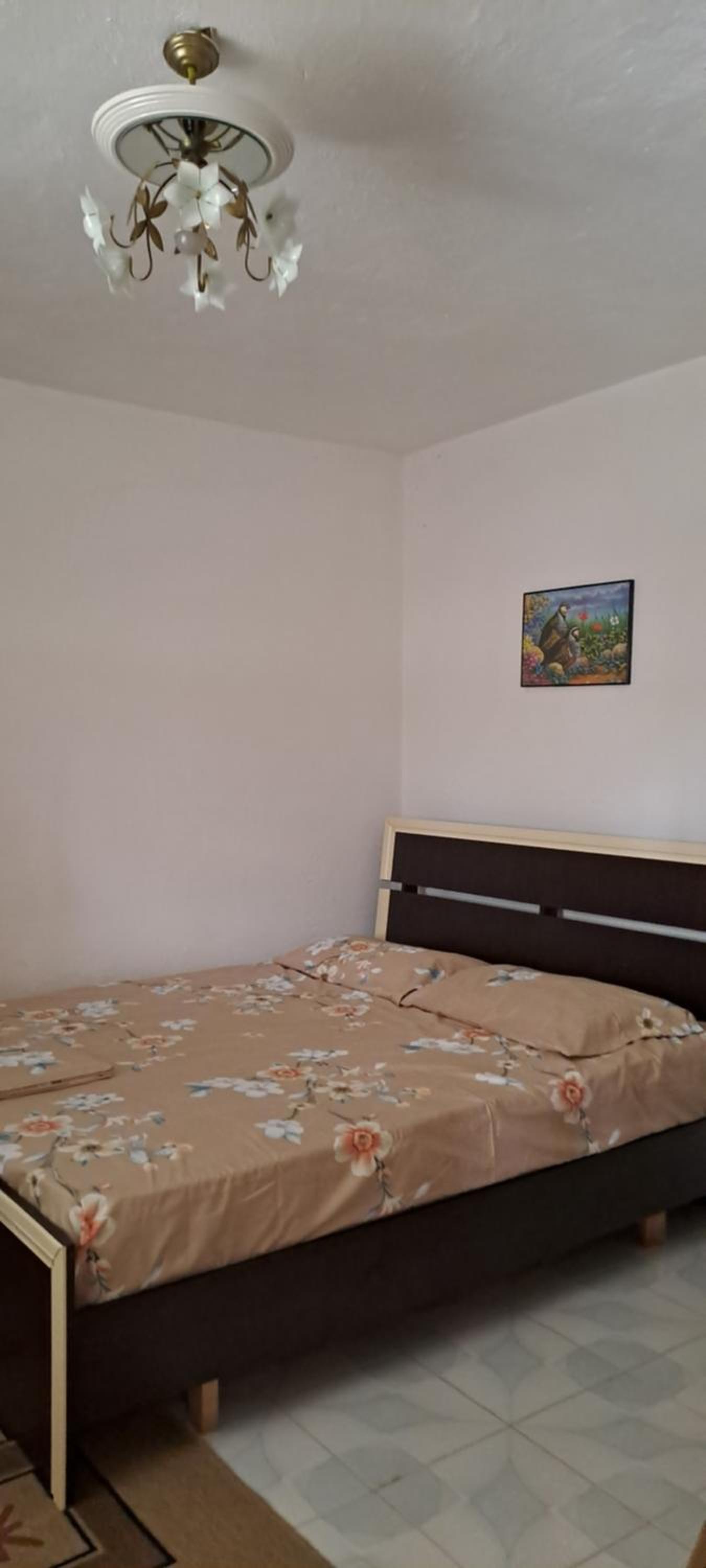 Aleko Guesthouse