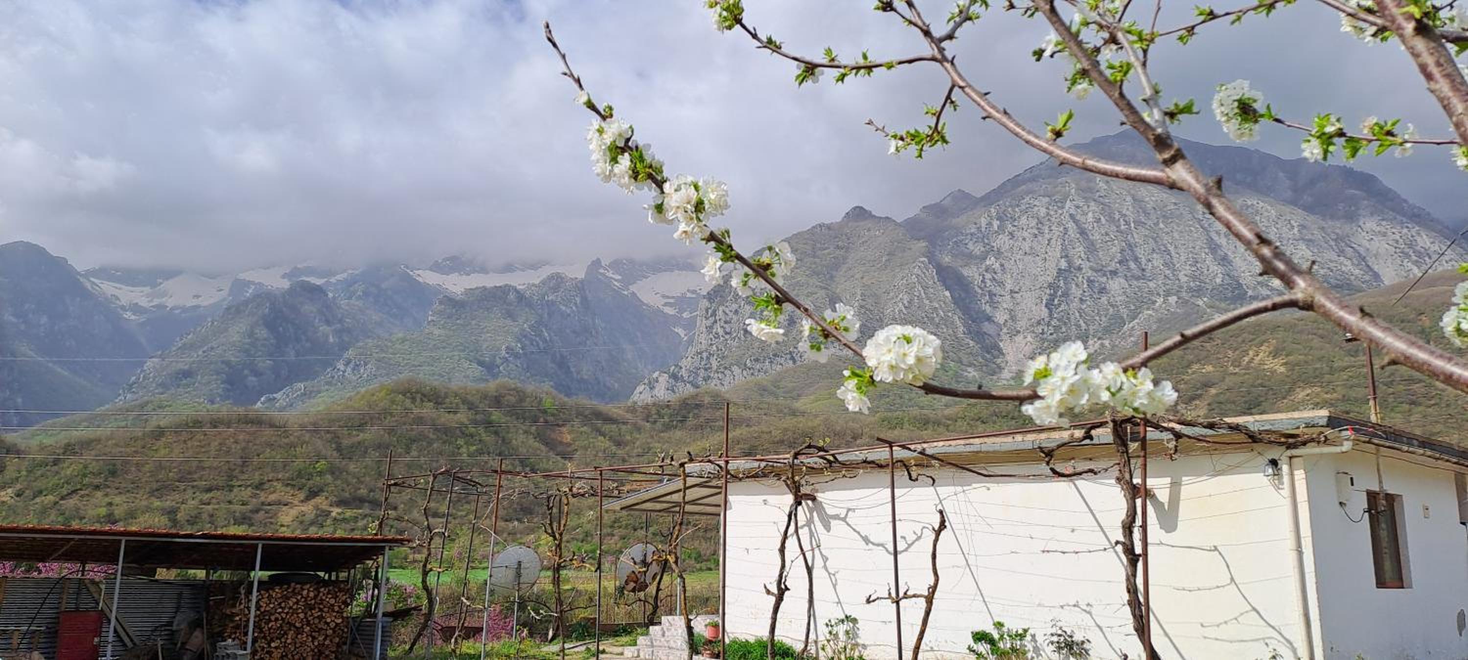 Aleko Guesthouse