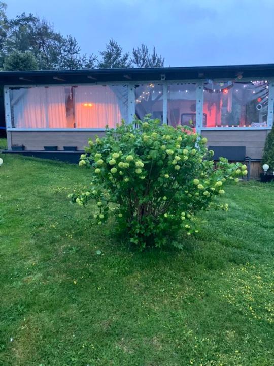 Glamping Karavan u Konopiště