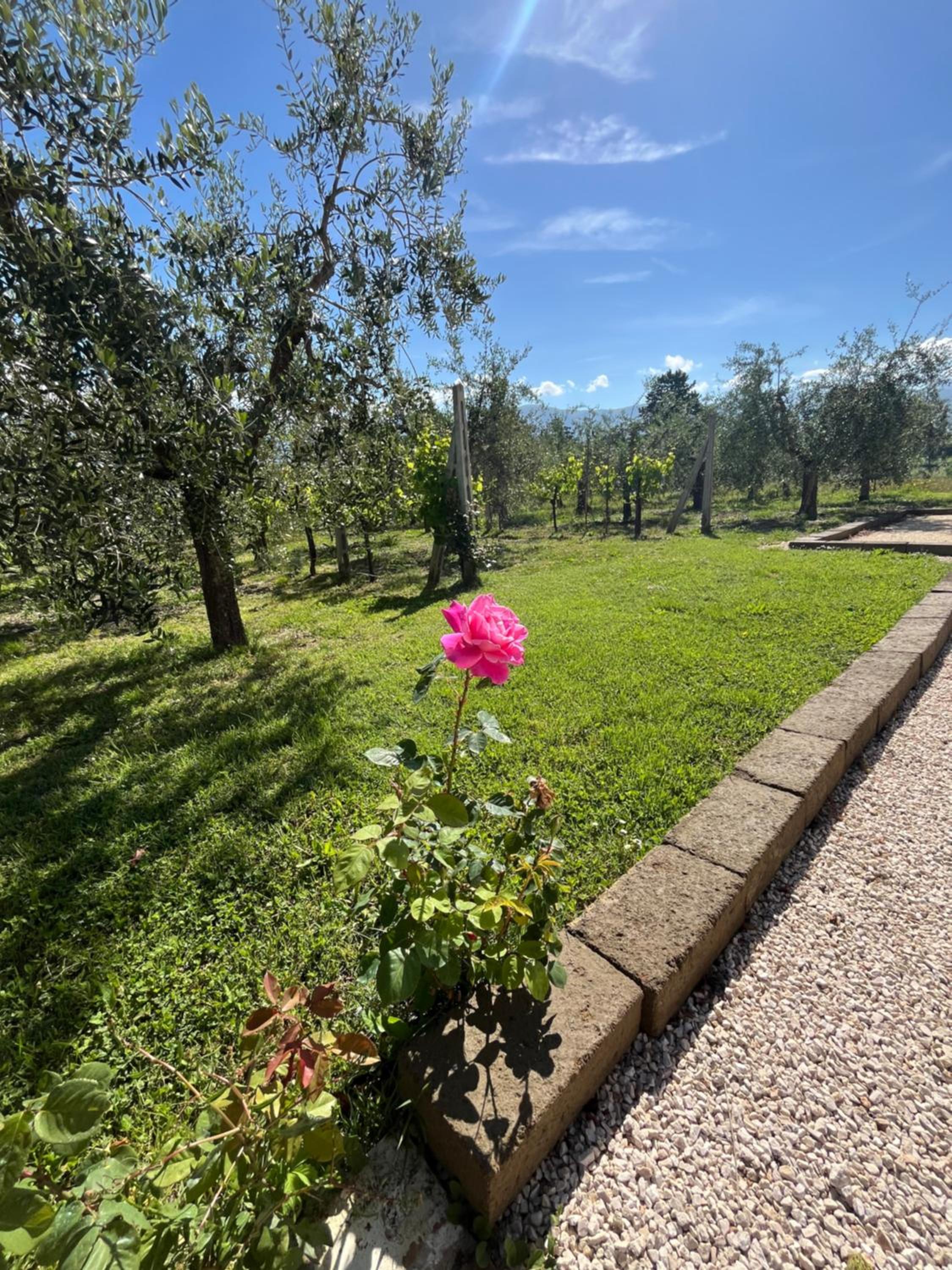 Casa Stefano view 5