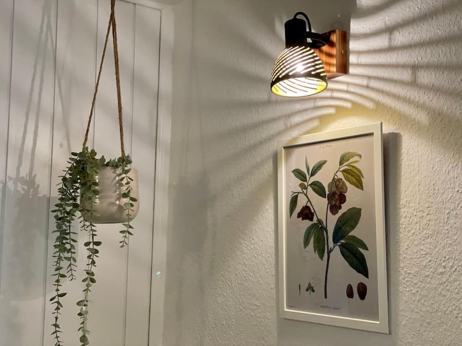 Schone Ferienwohnung in Oldenburg Eversten 70m2, zwei Raume, bis zu 4 Personen - Property Image 21
