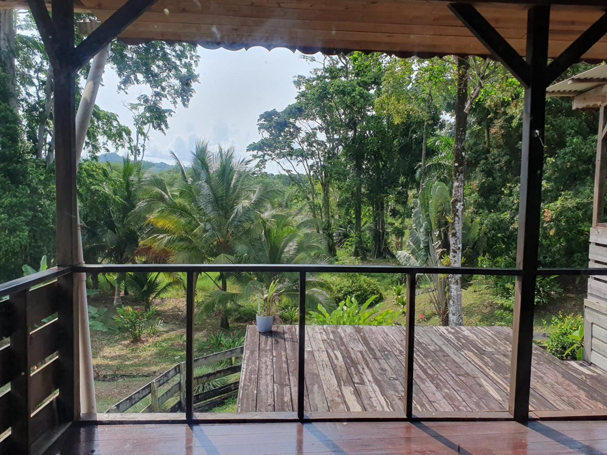 Casa Cereza view 4