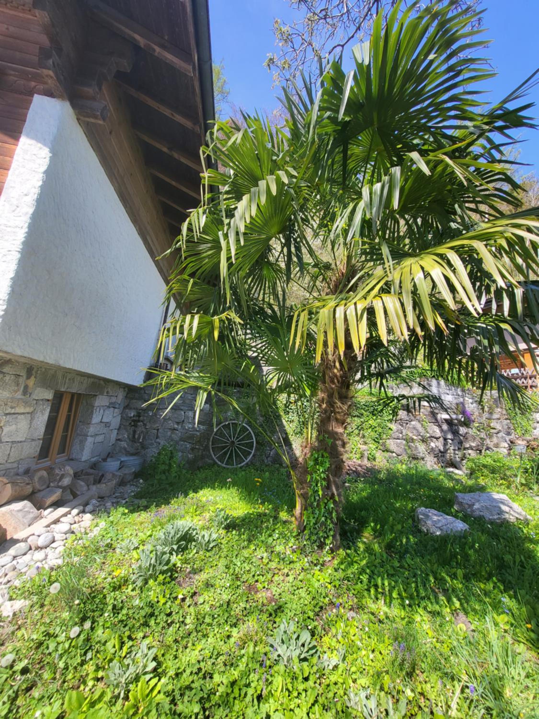 Zauberhaftes Chalet mit Whirlpool, Berg & Seesicht