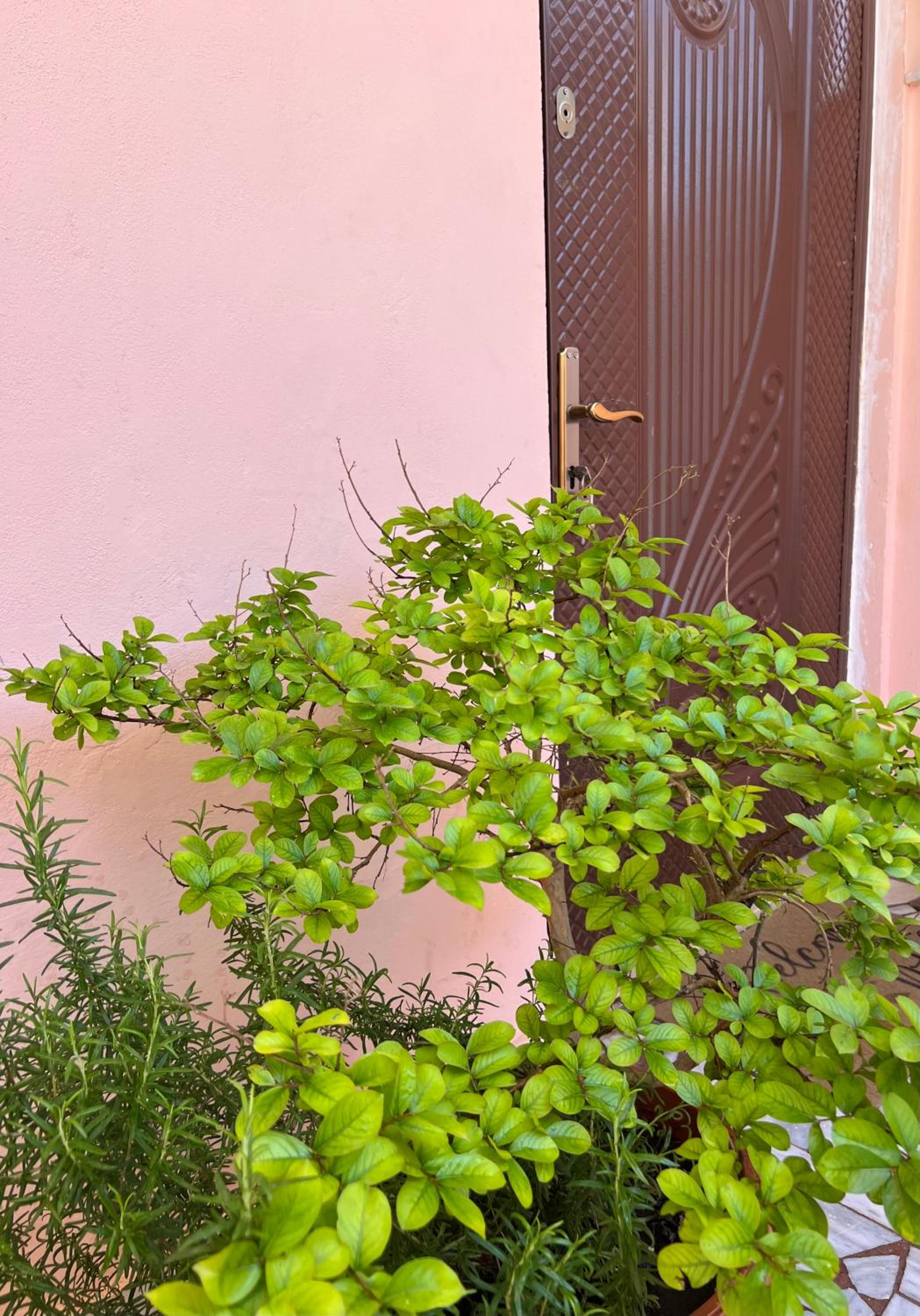 Villa EnSalv & Room & Apartment & Penthouse-Berat