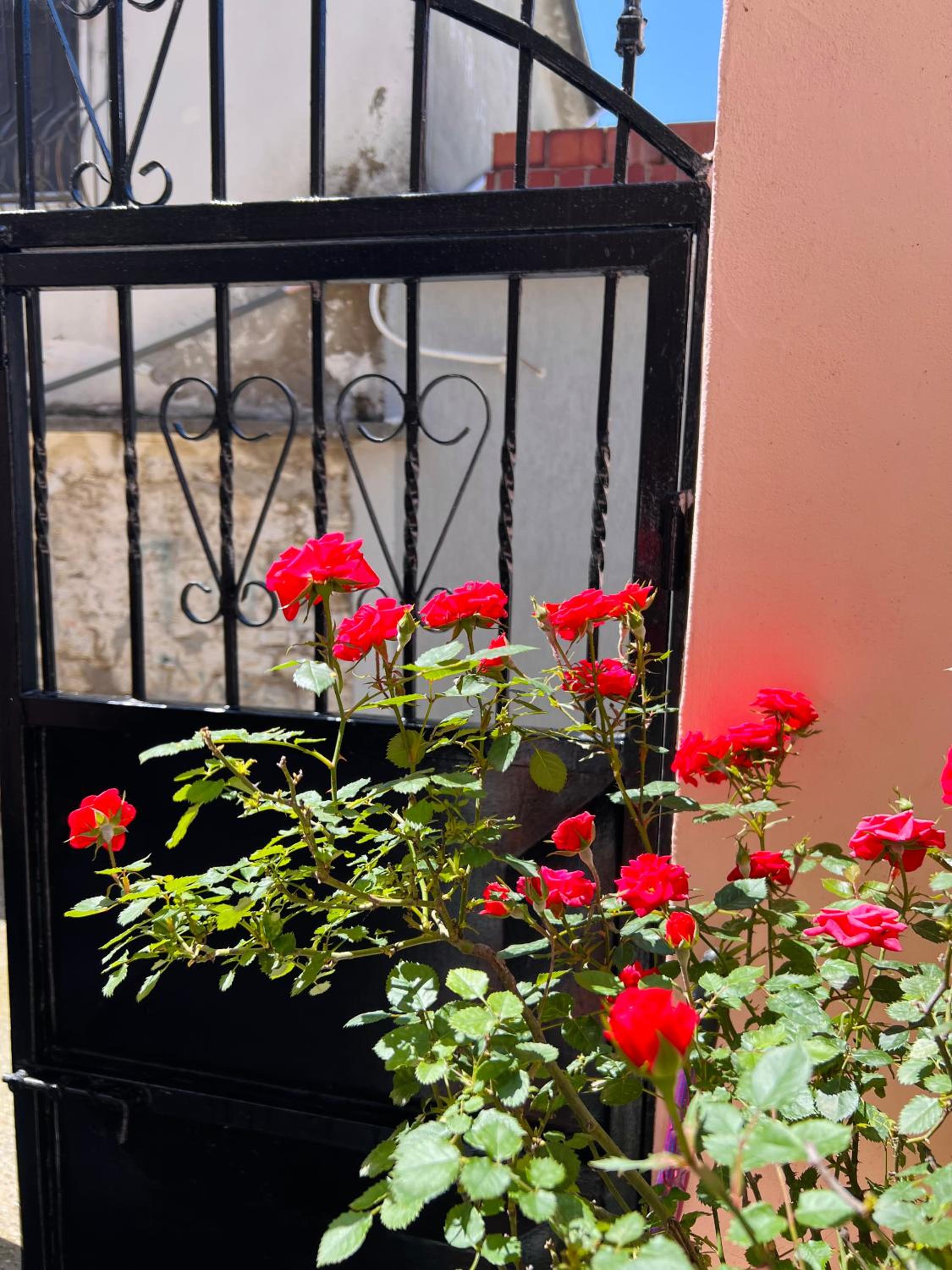 Villa EnSalv & Room & Apartment & Penthouse-Berat