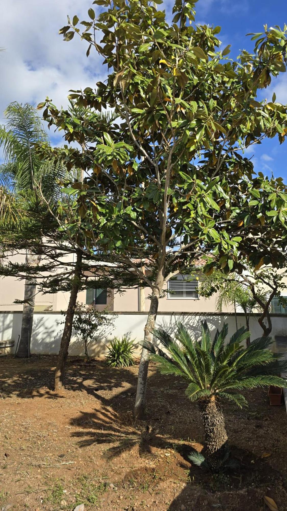 MauriCarol Residences