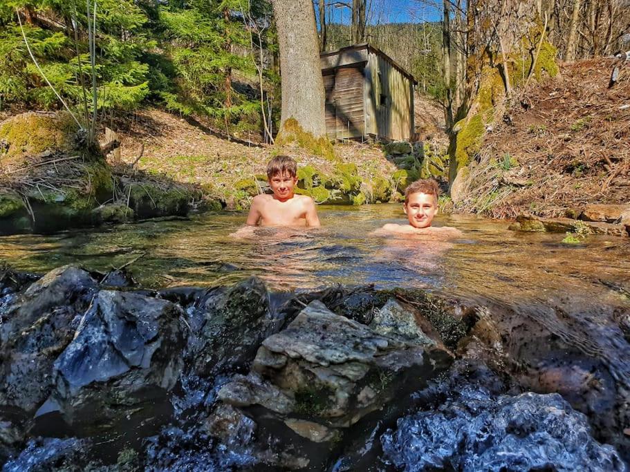 Penzion Pichberg Horská chata